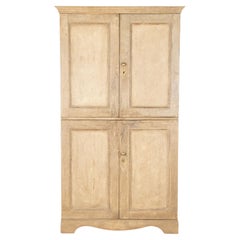 Early 19th Century Georgian Estate Cupboard