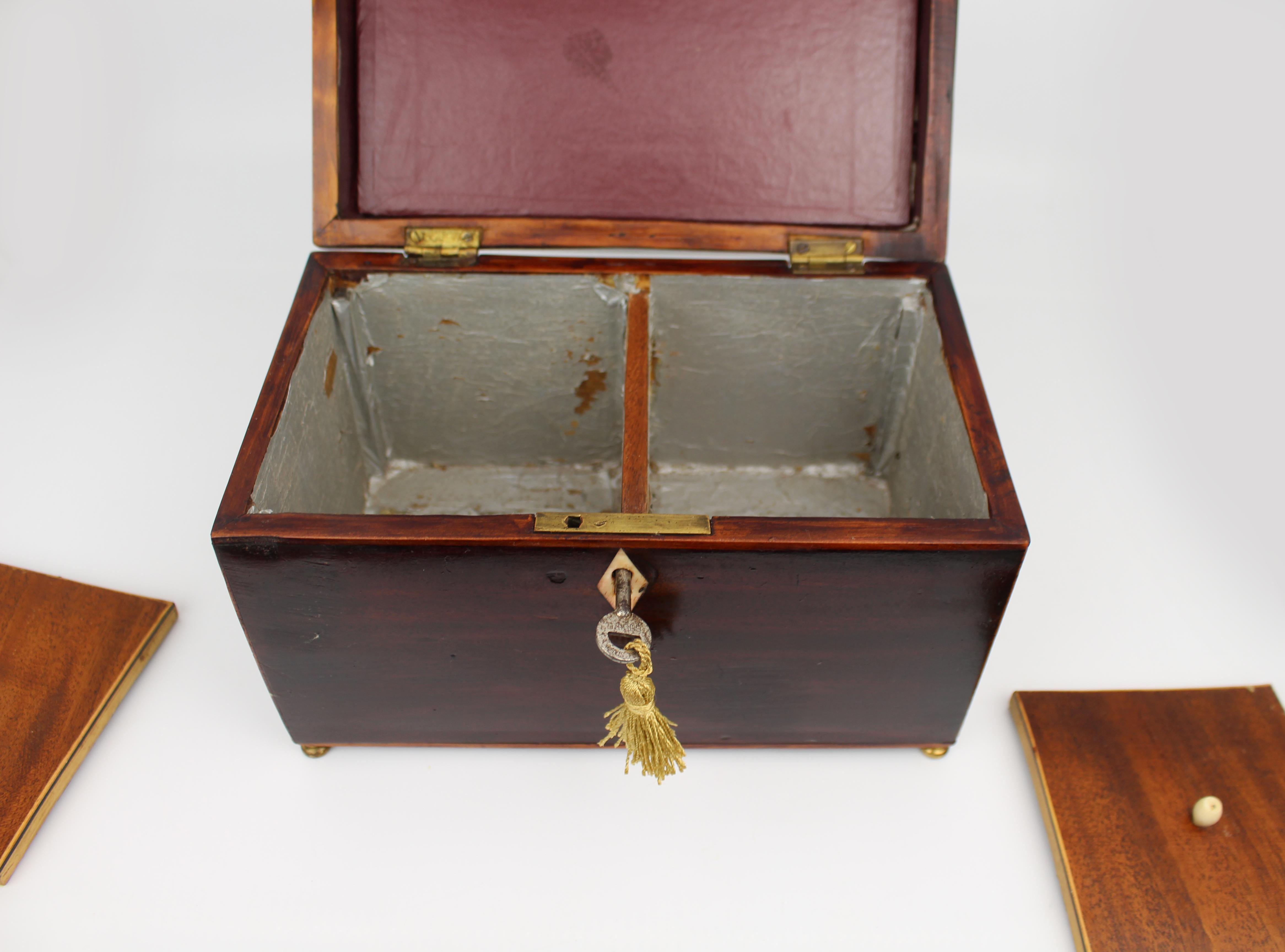 Early 19th Century Georgian Mahogany Twin Tea Caddy with Brass Handle For Sale 6