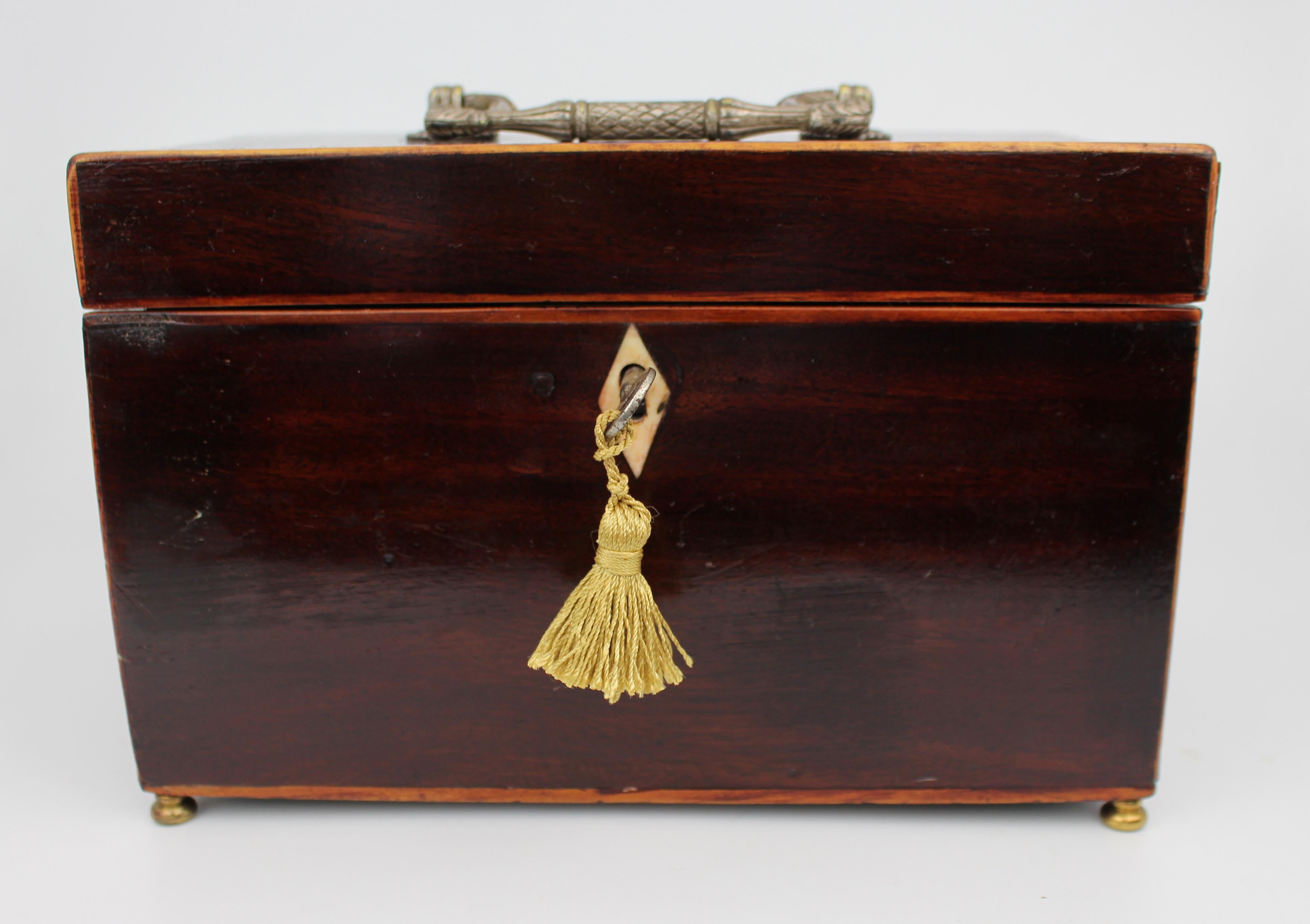 Early 19th Century Georgian Mahogany Twin Tea Caddy with Brass Handle For Sale 7