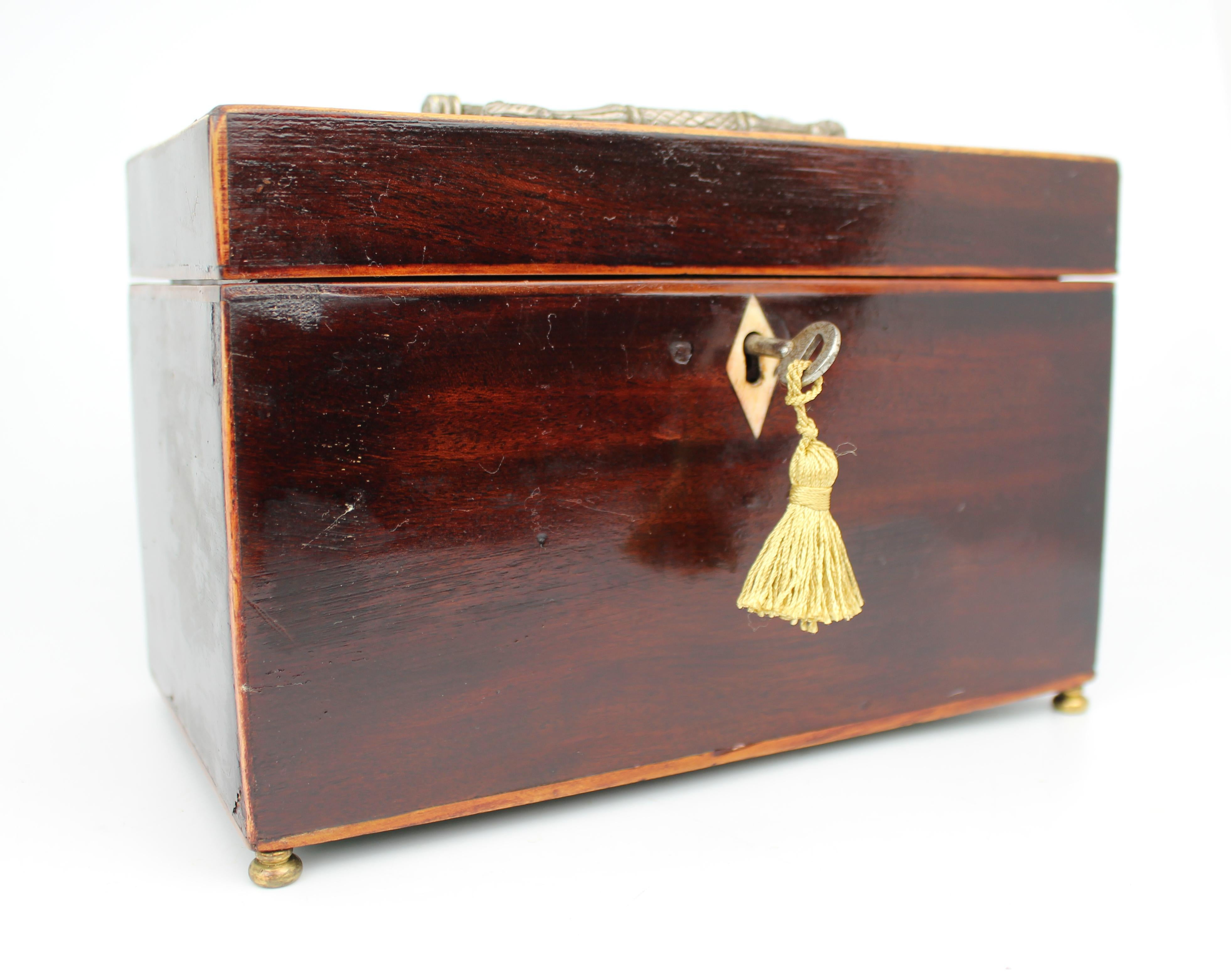 European Early 19th Century Georgian Mahogany Twin Tea Caddy with Brass Handle For Sale
