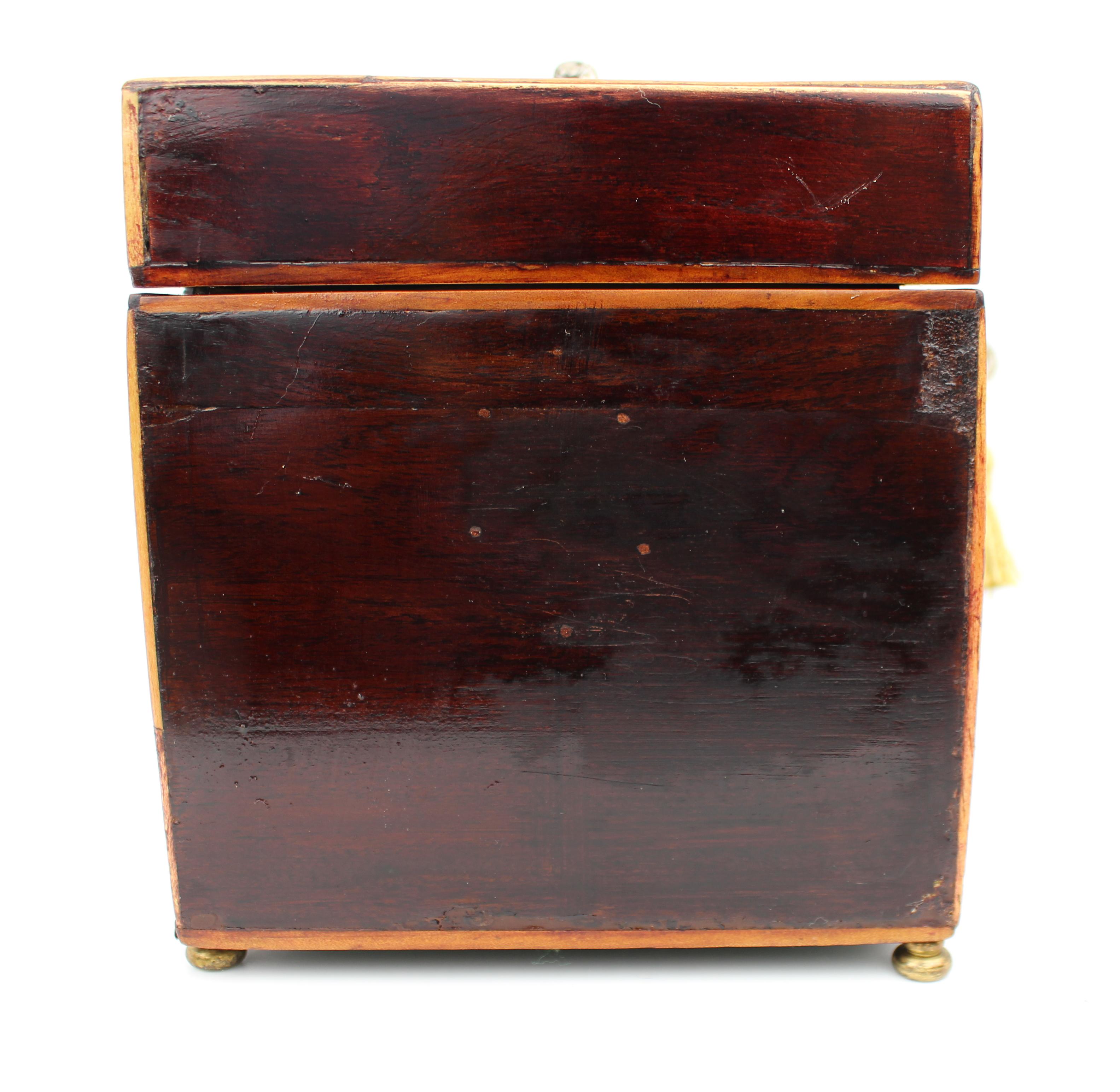 Early 19th Century Georgian Mahogany Twin Tea Caddy with Brass Handle In Good Condition For Sale In Worcester, GB