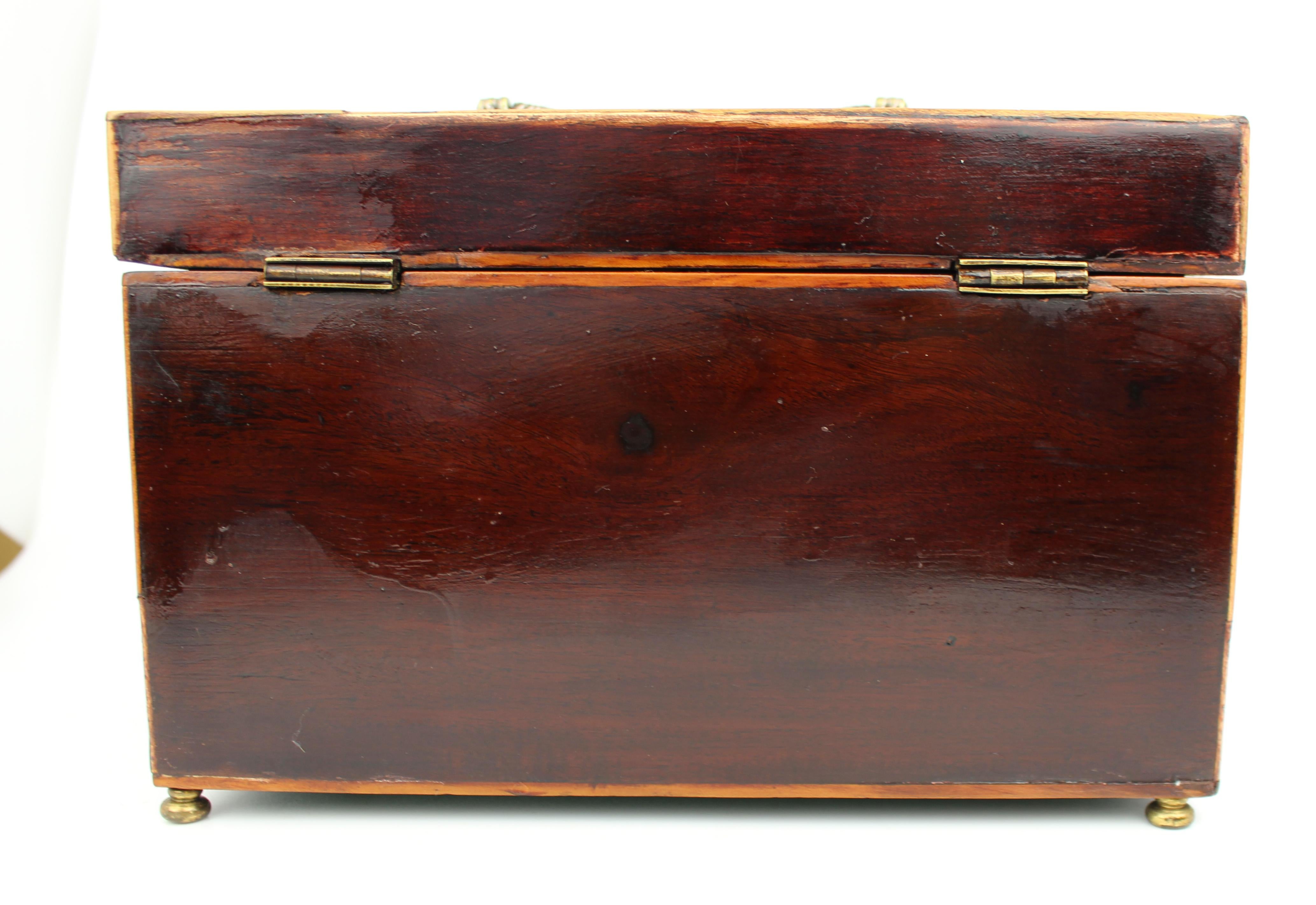 Early 19th Century Georgian Mahogany Twin Tea Caddy with Brass Handle For Sale 1