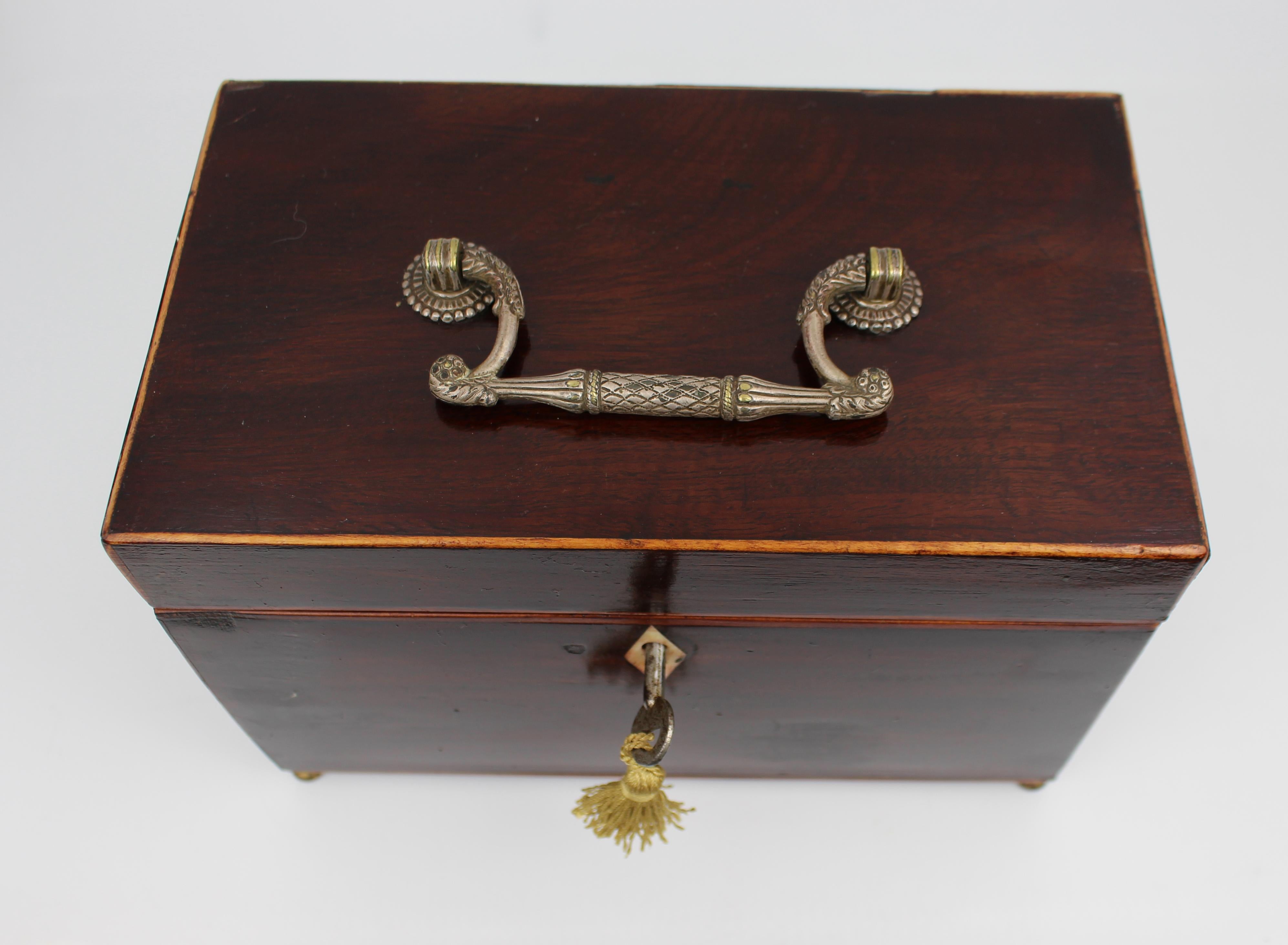 Early 19th Century Georgian Mahogany Twin Tea Caddy with Brass Handle For Sale 2