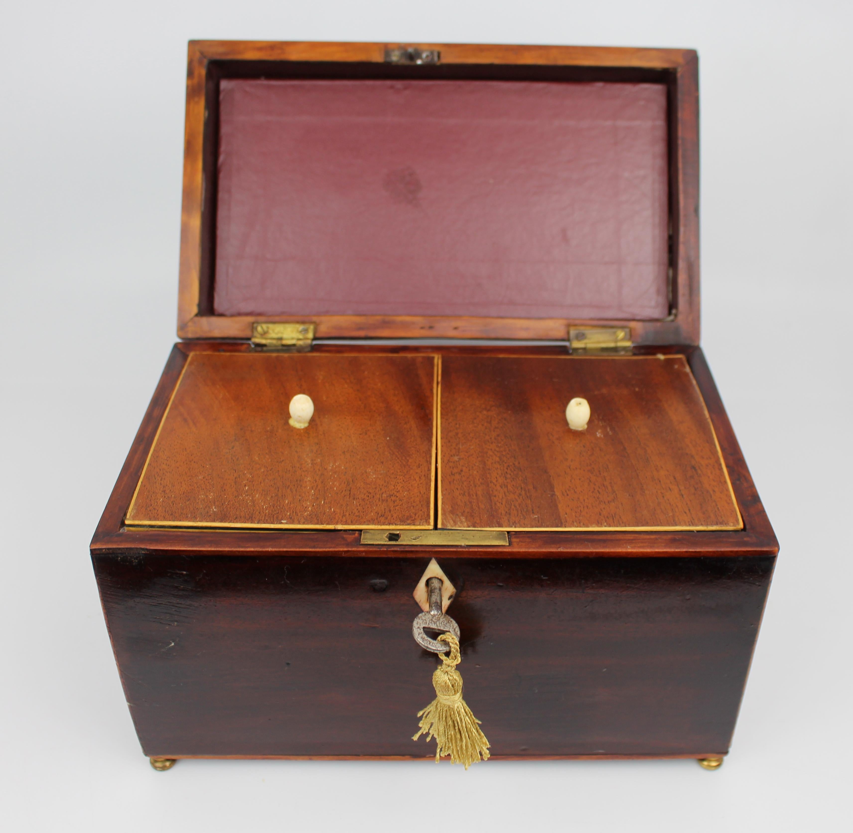 Early 19th Century Georgian Mahogany Twin Tea Caddy with Brass Handle For Sale 3