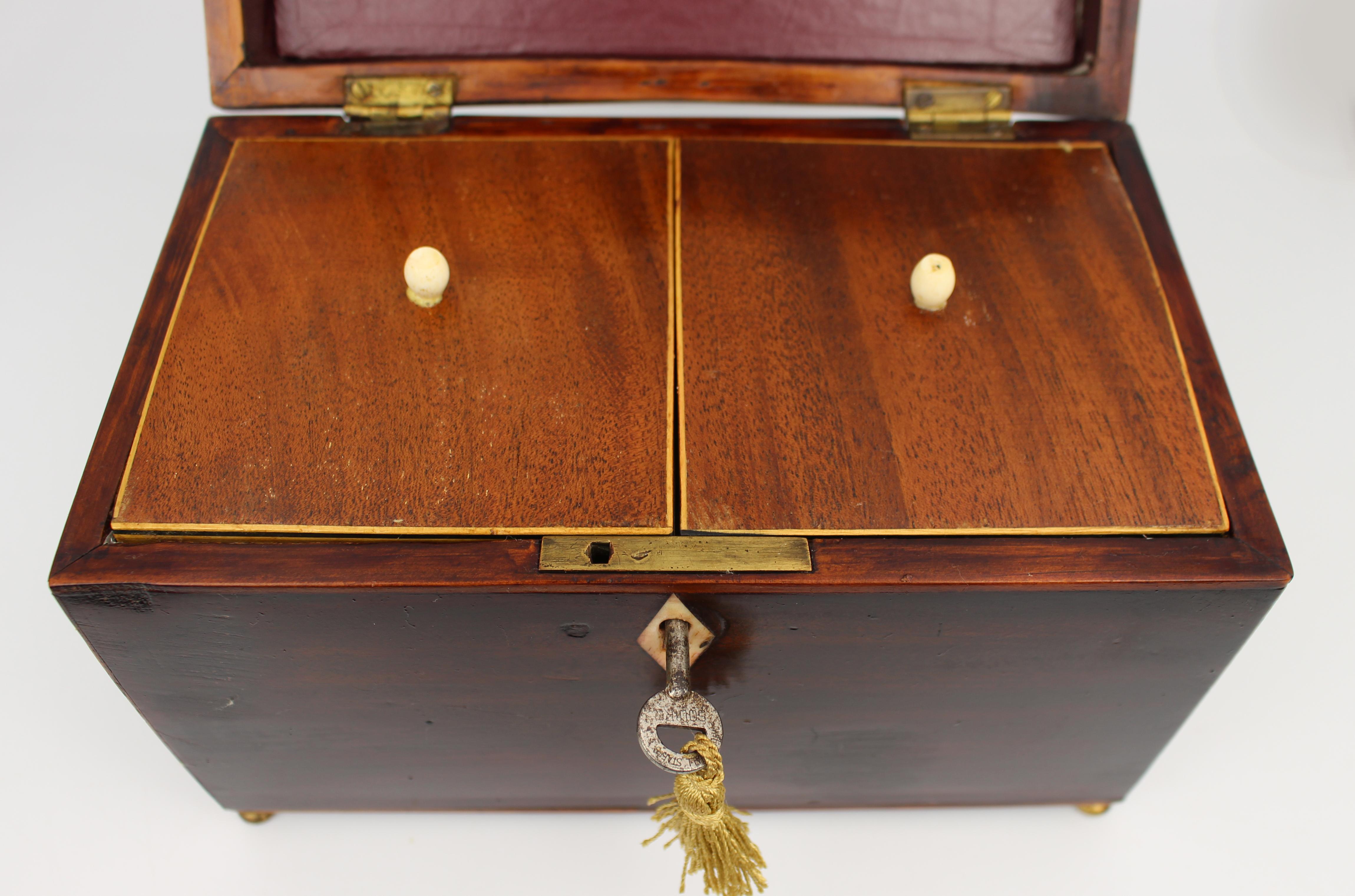 Early 19th Century Georgian Mahogany Twin Tea Caddy with Brass Handle For Sale 4