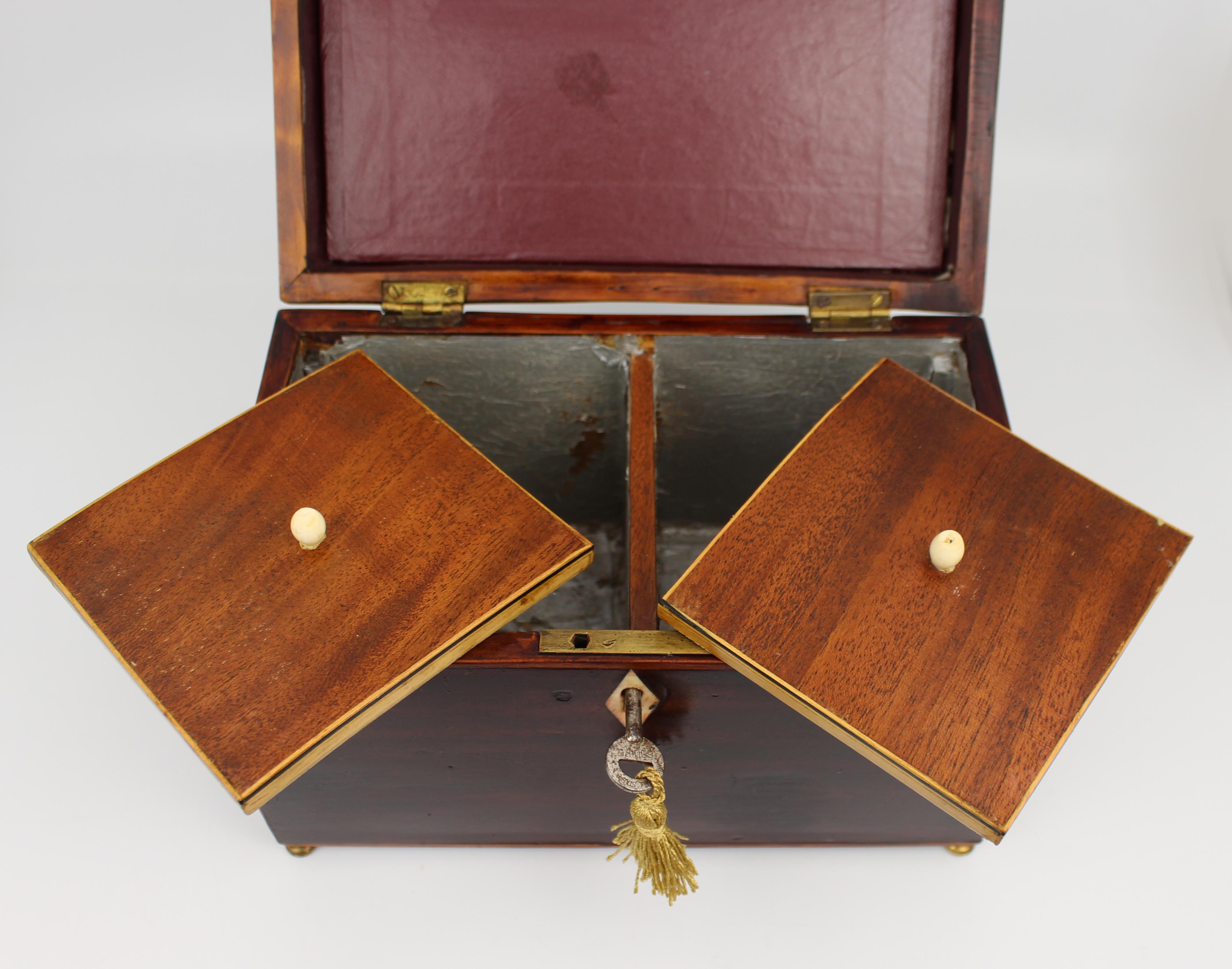 Early 19th Century Georgian Mahogany Twin Tea Caddy with Brass Handle For Sale 5