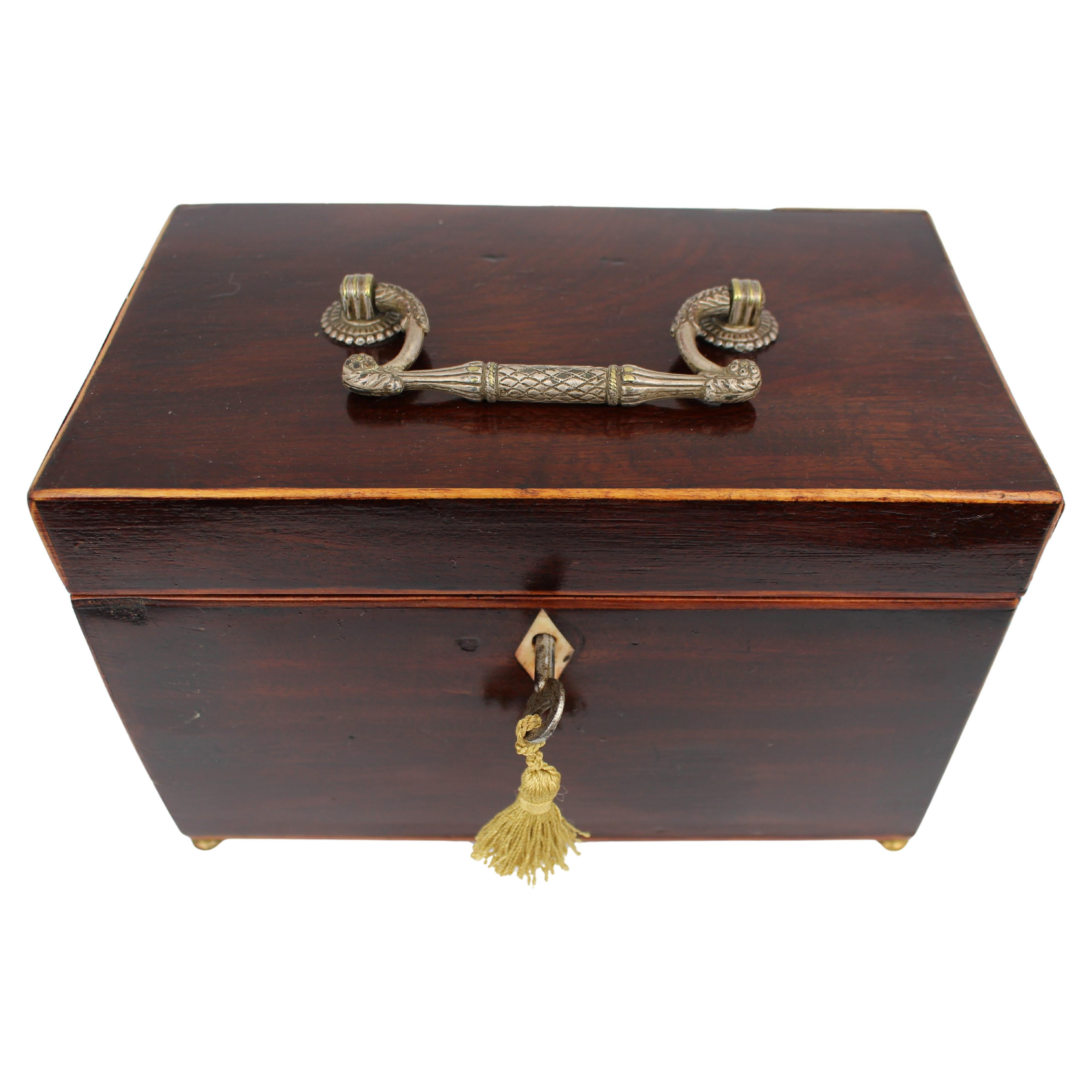 Early 19th Century Georgian Mahogany Twin Tea Caddy with Brass Handle For Sale