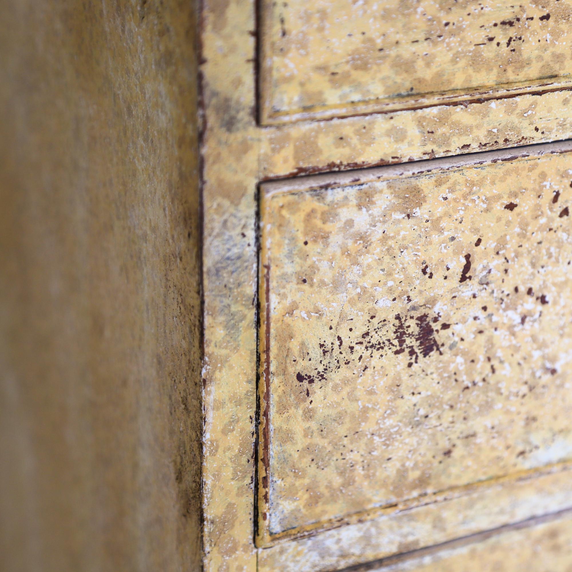 Early 19th Century Georgian Painted Housekeeper's Cupboard 9