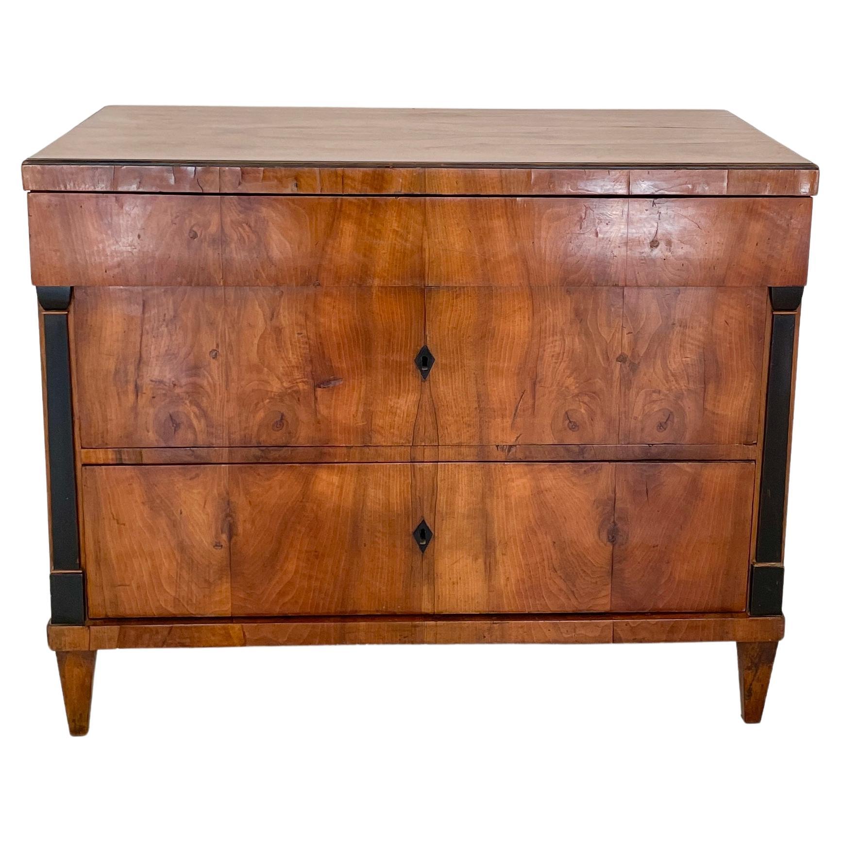 Early 19th Century, Biedermeier Walnut Wood Chest of Drawers For Sale ...
