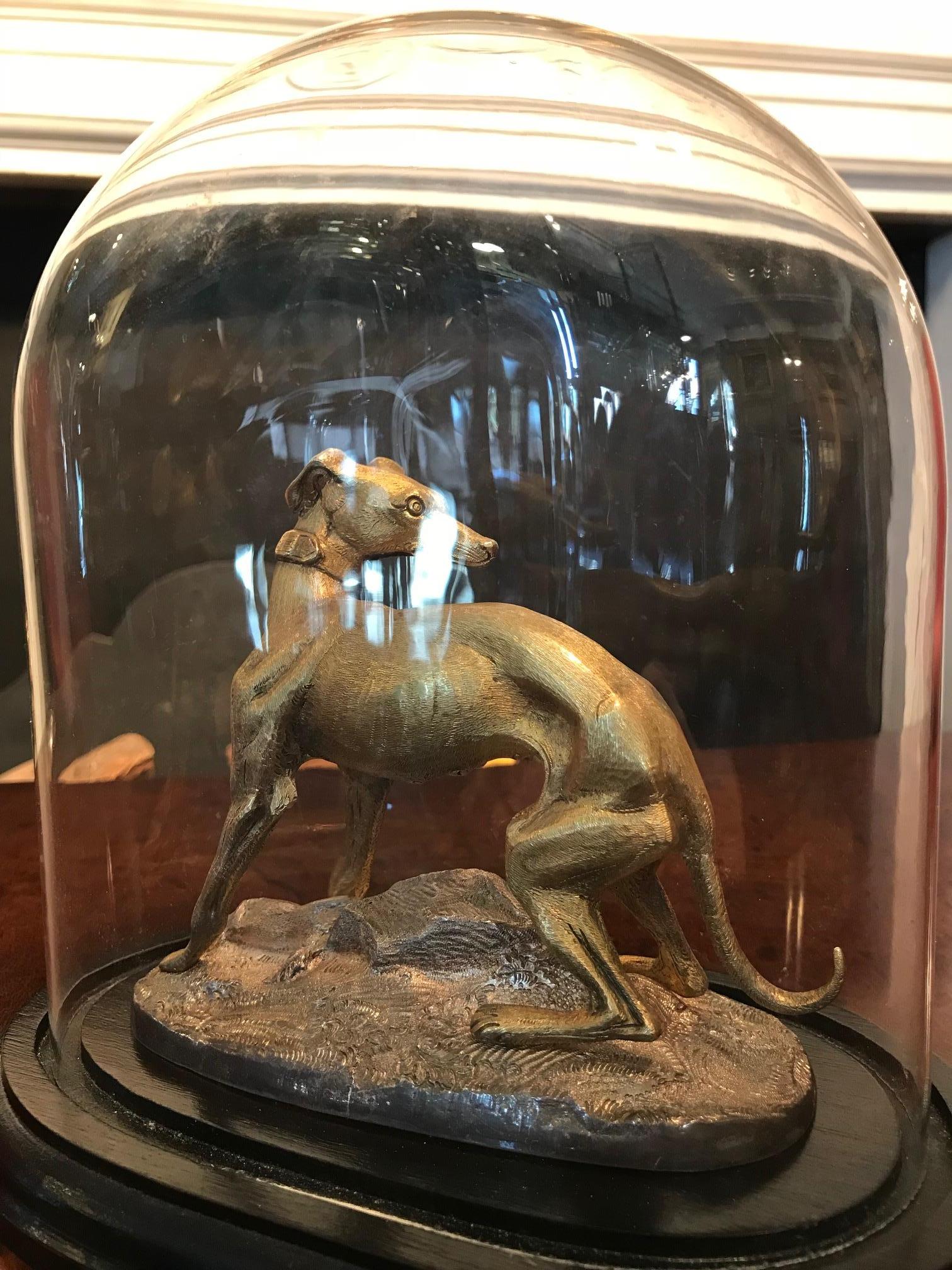 Regency Early 19th Century Gilt Bronze Whippet within Glass Cloche Dome Display Case For Sale