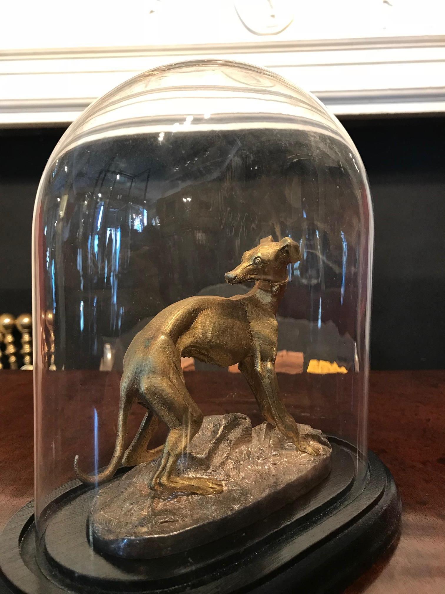 Irish Early 19th Century Gilt Bronze Whippet within Glass Cloche Dome Display Case For Sale