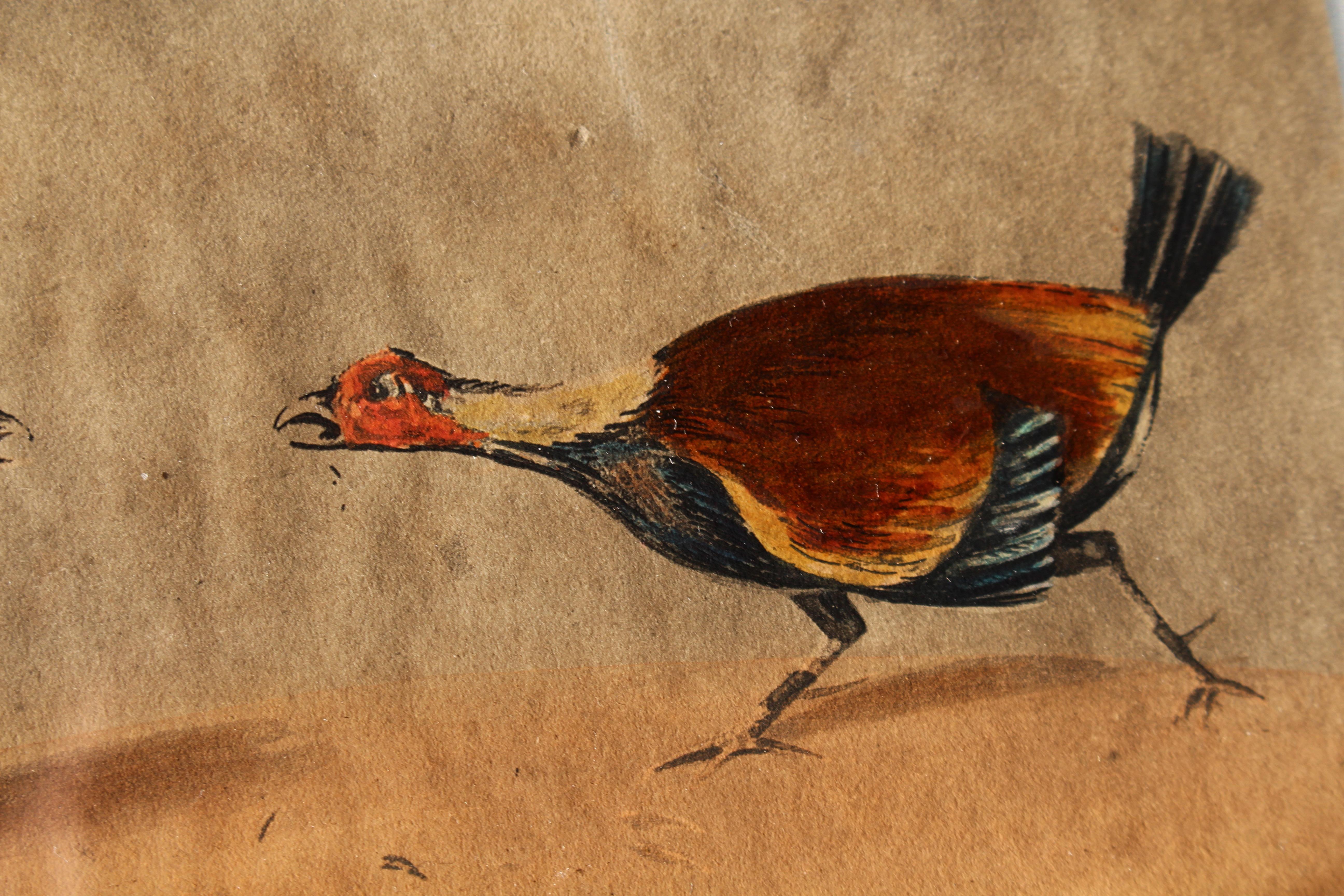 Early 19th Century Hand Coloured Cockfighting Scenes Sporting Taxidermy Hunting 5