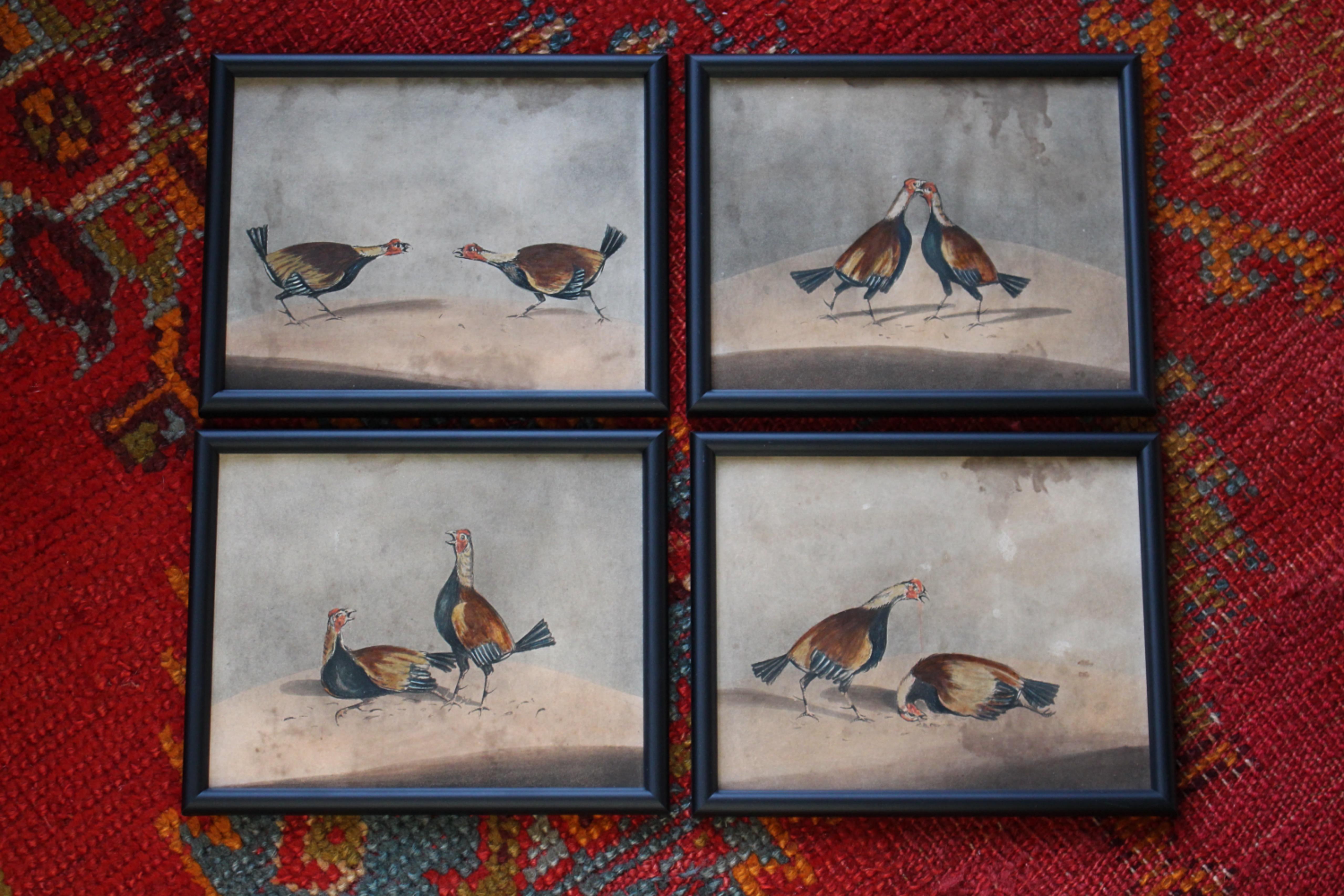 Early 19th Century Hand Coloured Cockfighting Scenes Sporting Taxidermy Hunting 6