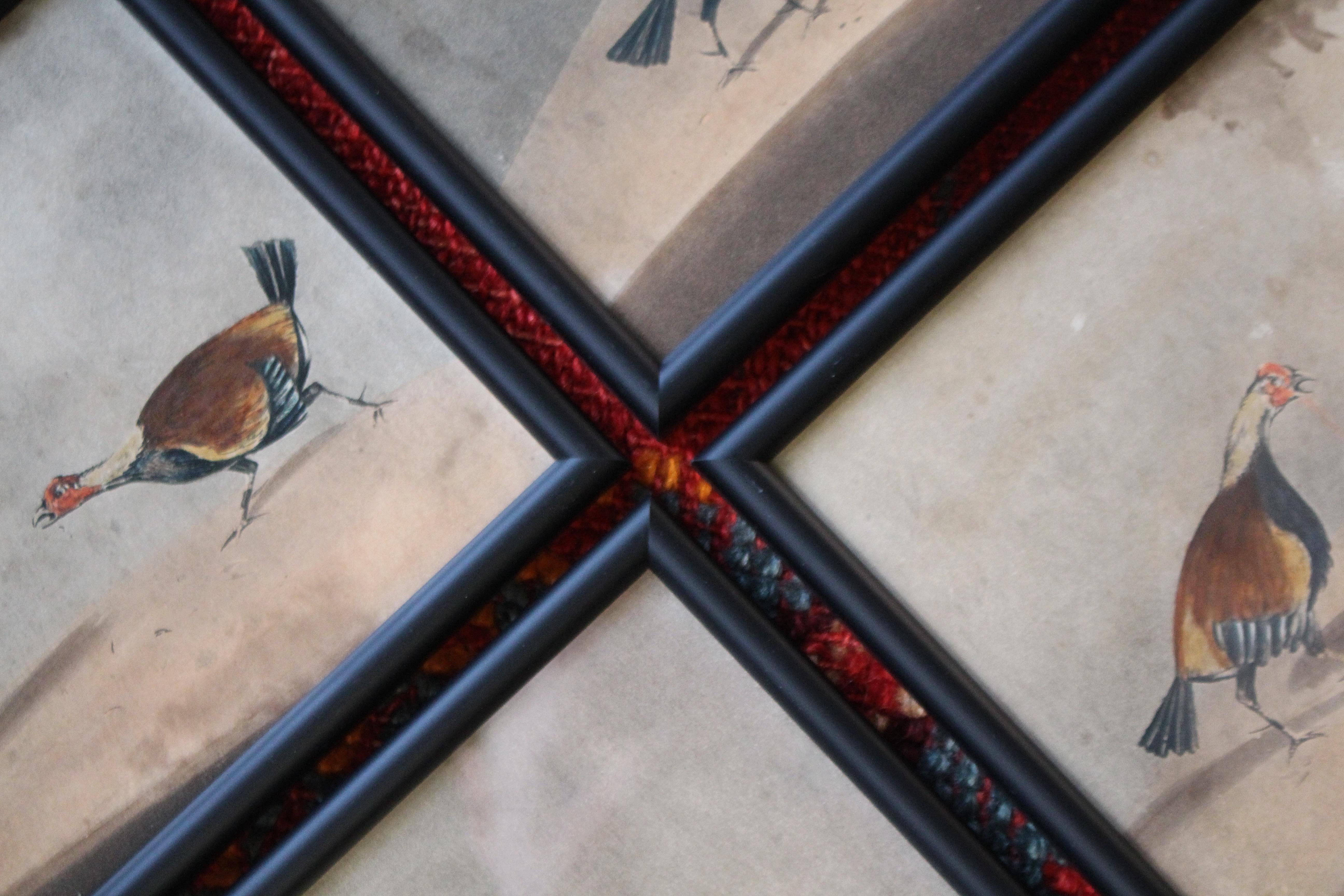 Early 19th Century Hand Coloured Cockfighting Scenes Sporting Taxidermy Hunting 7