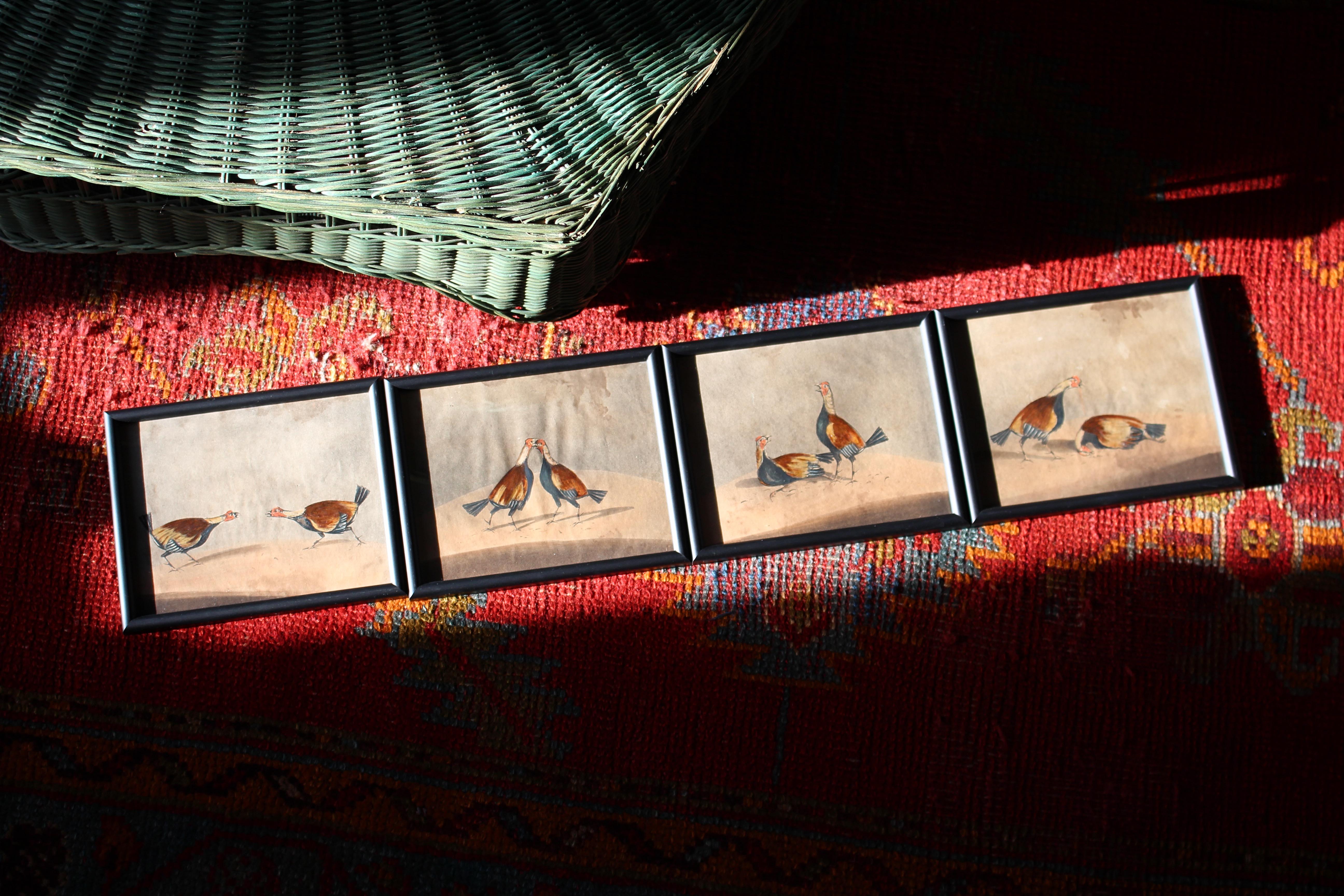 George III Early 19th Century Hand Coloured Cockfighting Scenes Sporting Taxidermy Hunting