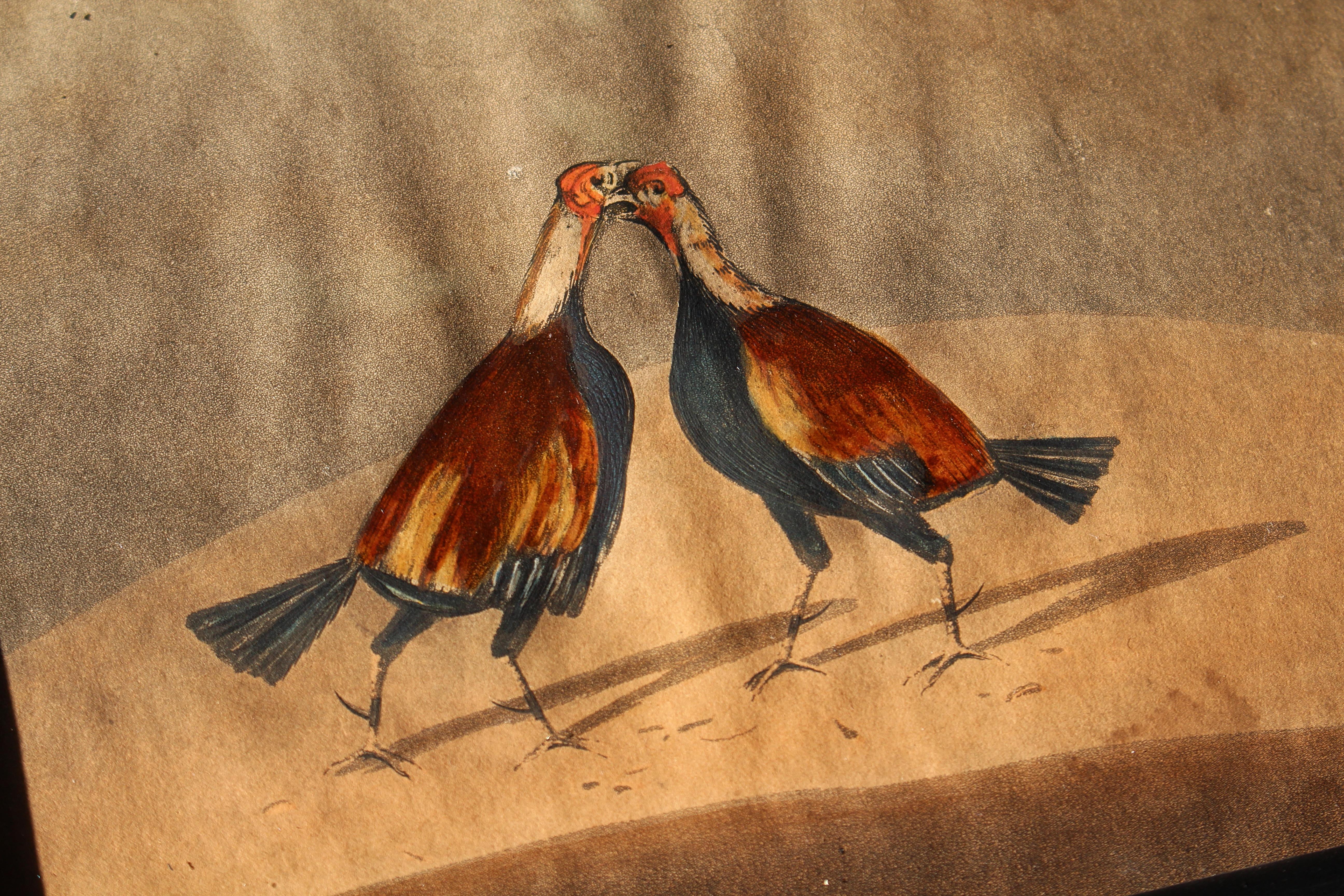 Art Glass Early 19th Century Hand Coloured Cockfighting Scenes Sporting Taxidermy Hunting