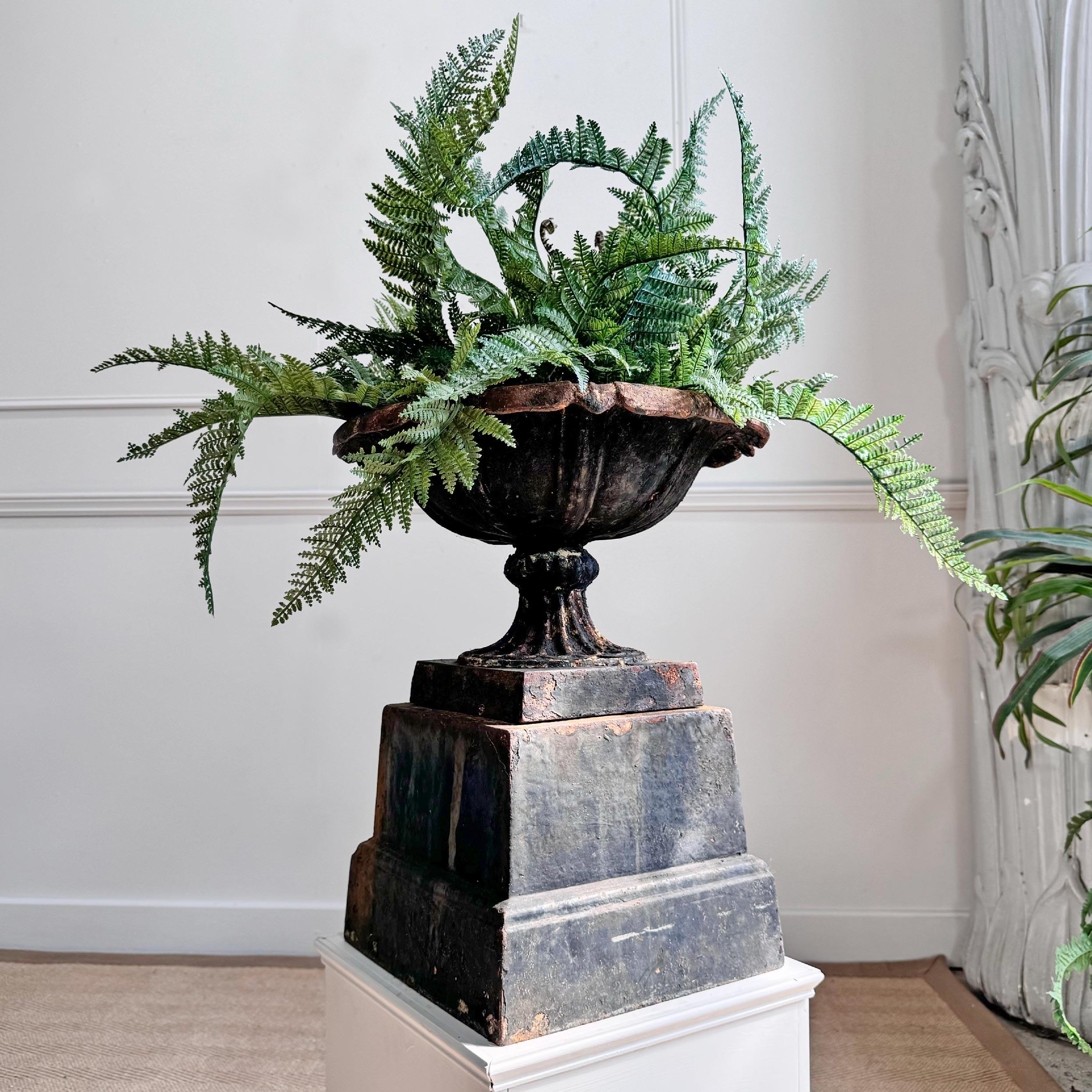 An early 19th Century Handyside style cast iron Tazza Urn on its original plinth in a beautifully worn black paint, with flashes of the original cream paint showing.

 

This urn is of superb and unusual diminutive proportions and rare to find with