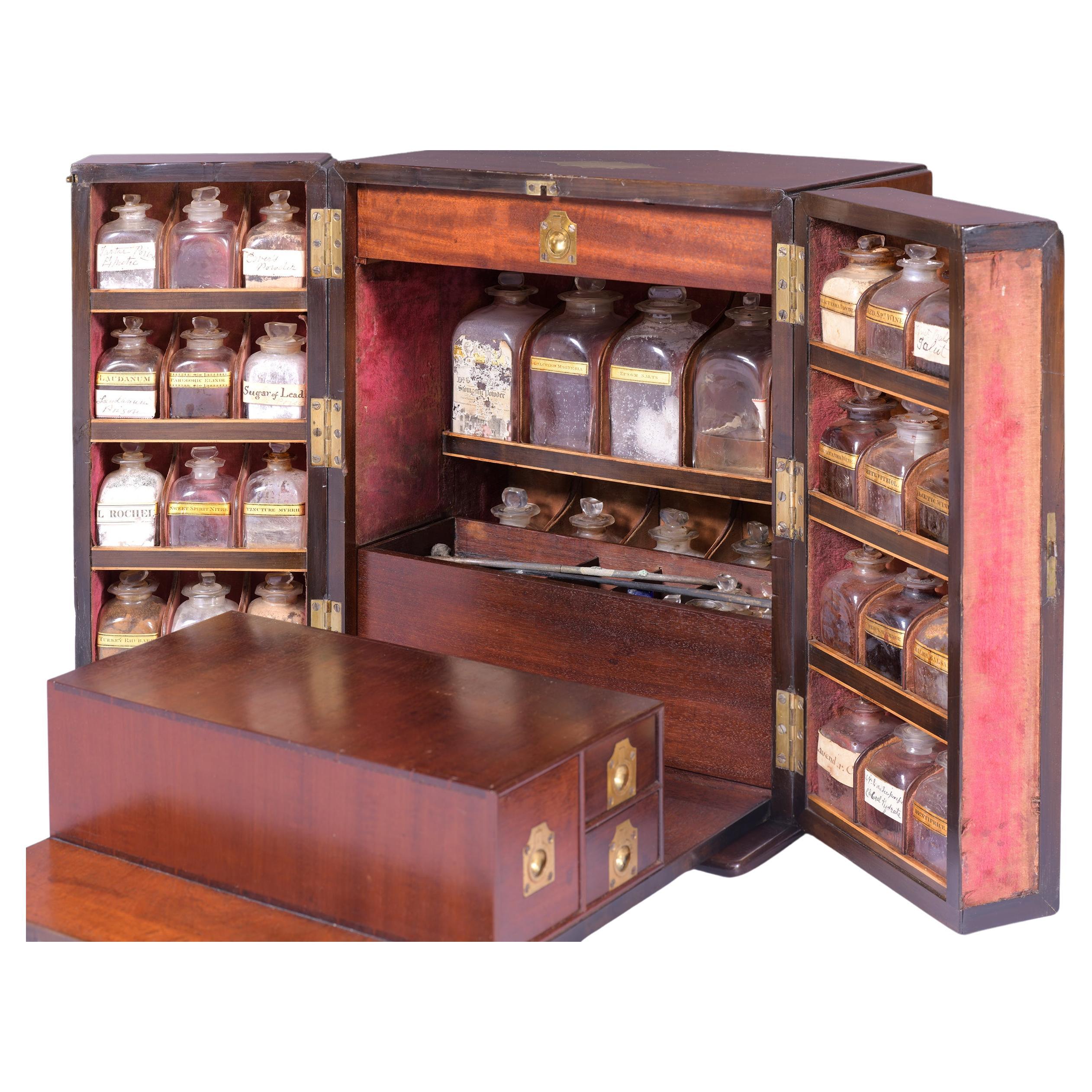 Early 19th Century Irish Georgian Apothecary Medicine Cased Cabinet For Sale