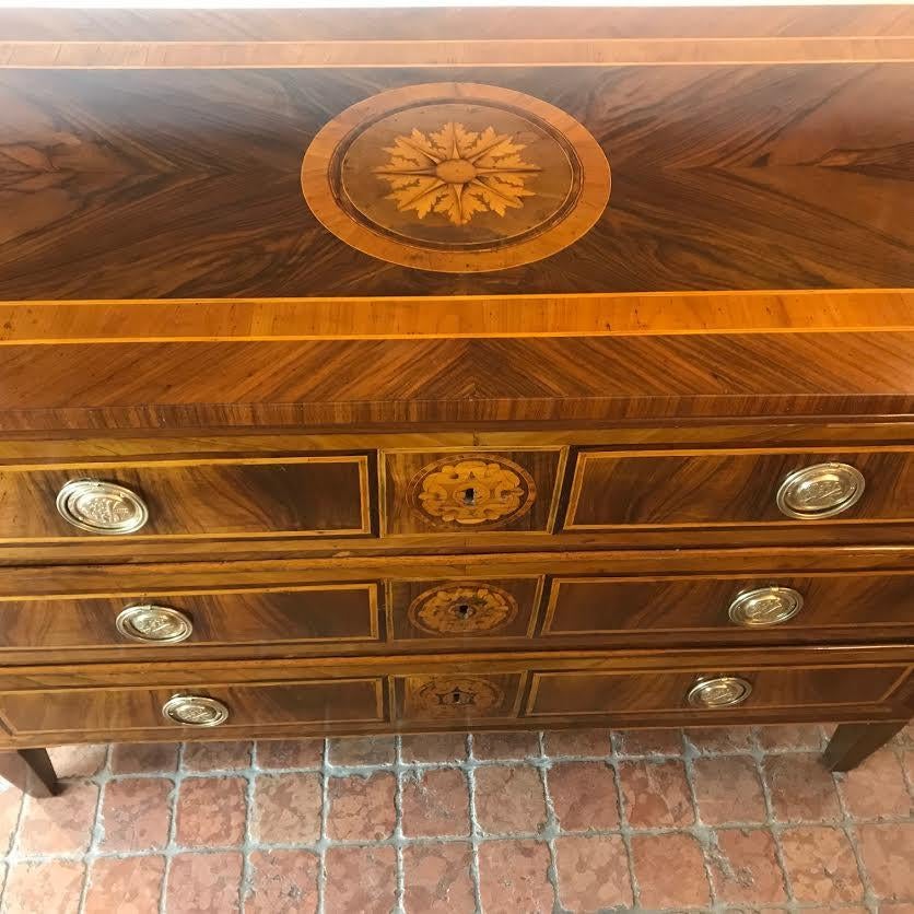 Early 19th Century Italian Directoire Chest of Drawers with Rose Marquetry 7