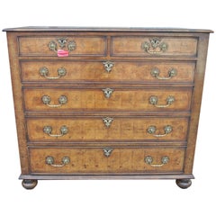 Early 19th Century Large English Oyster Walnut Chest of Drawers