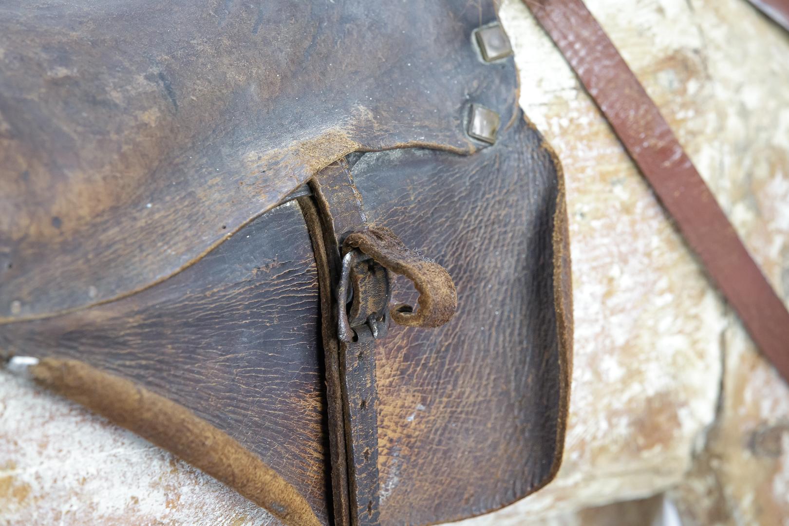 Early 19th Century Large Swedish Horse, with Original Tack 10