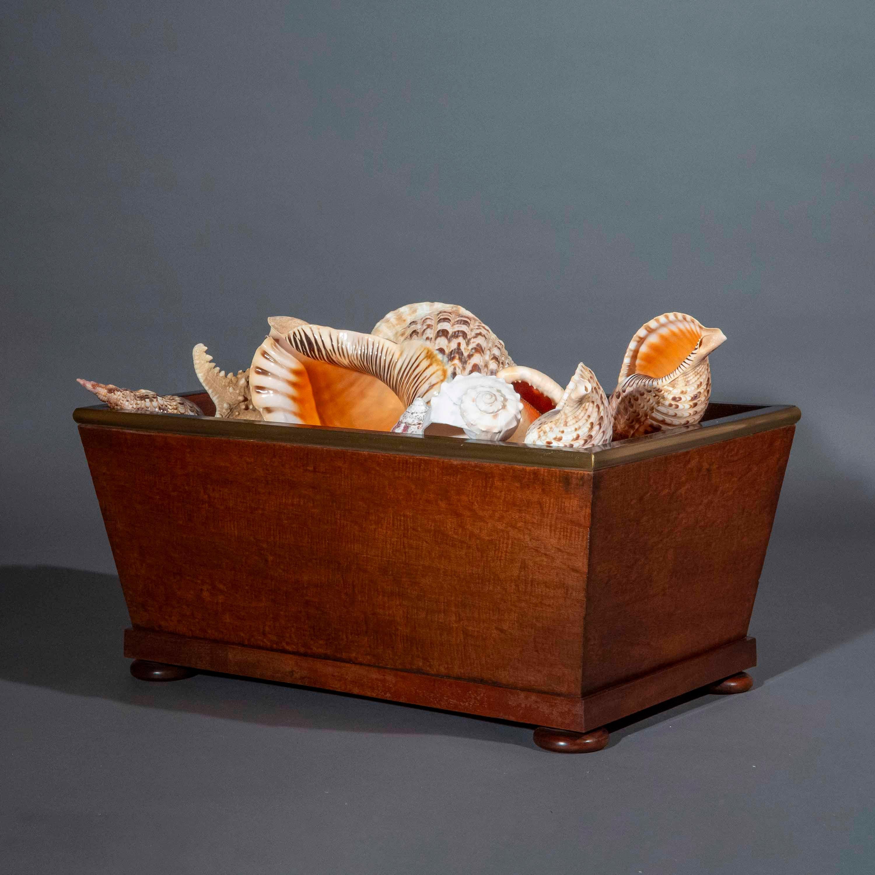 Cestino per tronchi o Jardiniere dell'inizio del XIX secolo in vendita 1