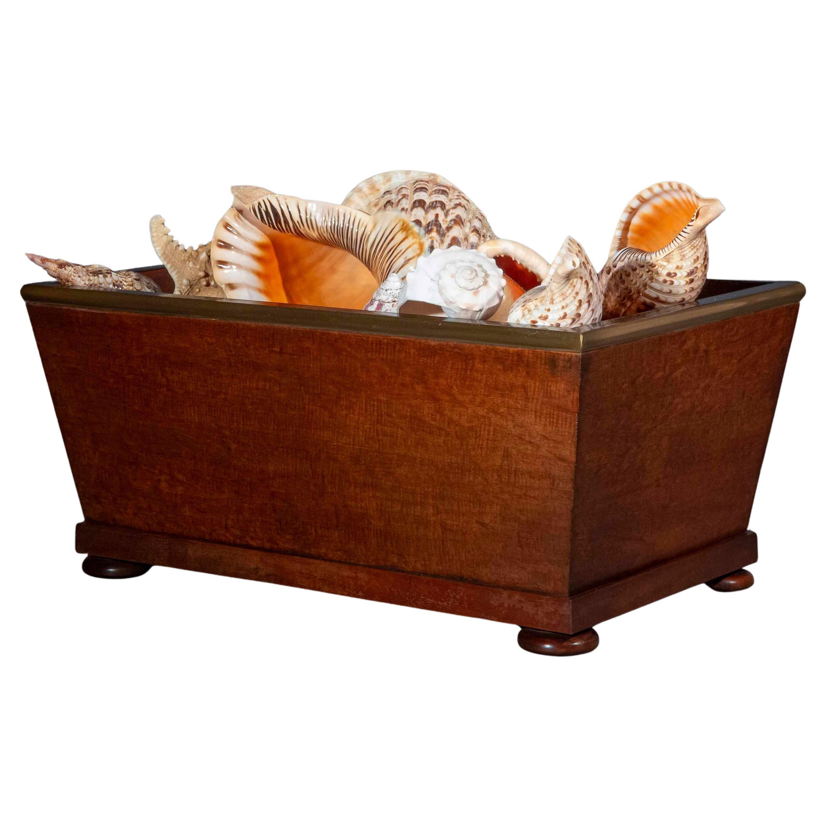 Cestino per tronchi o Jardiniere dell'inizio del XIX secolo in vendita