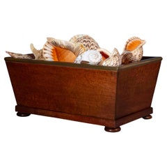 Antique Early 19th Century Log Bin or Jardiniere
