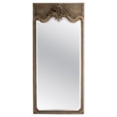 Early 19th Century Louis XV Brown Wood Floor Mirror