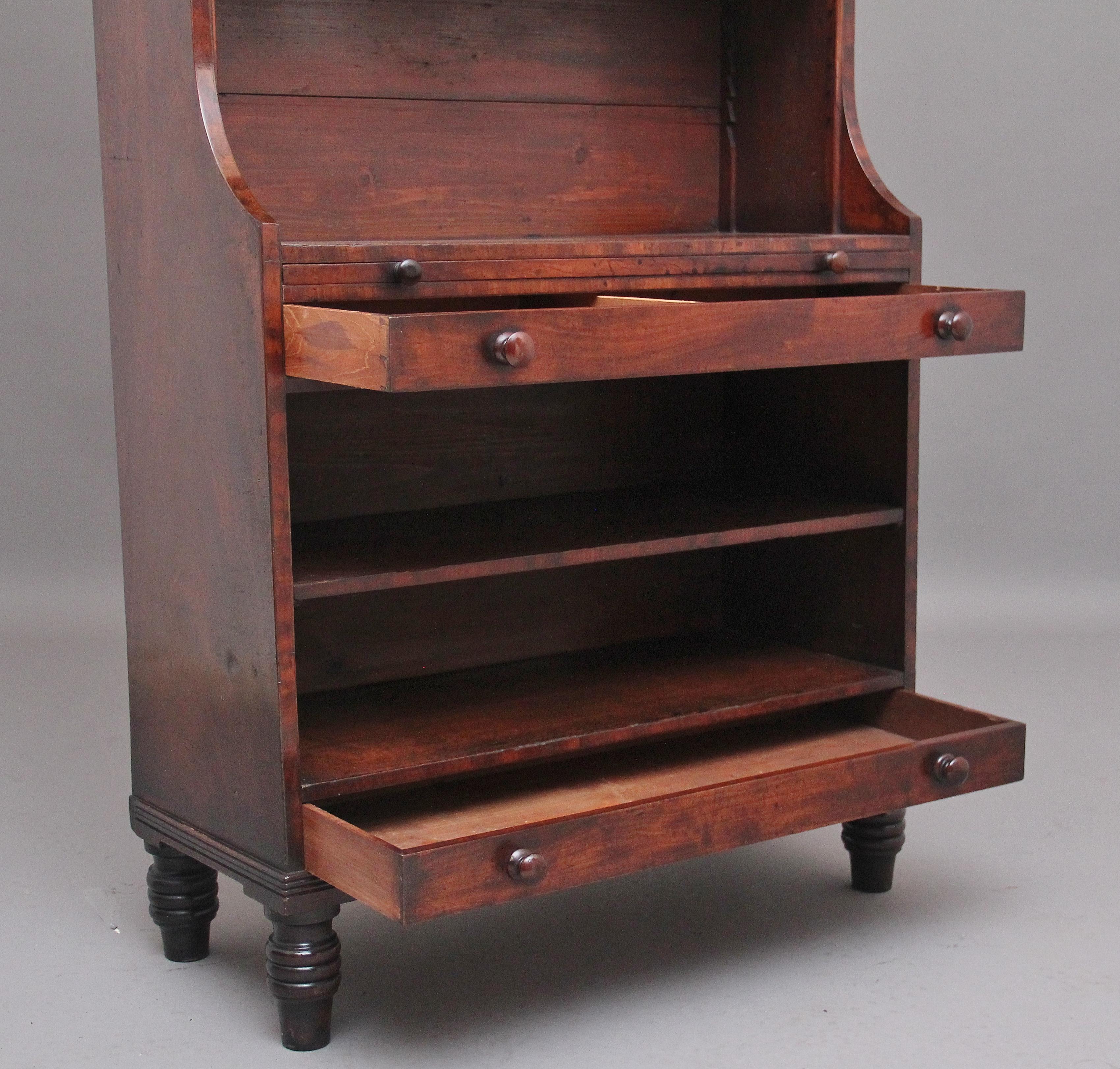 Mid-19th Century Early 19th Century Mahogany Bookcase