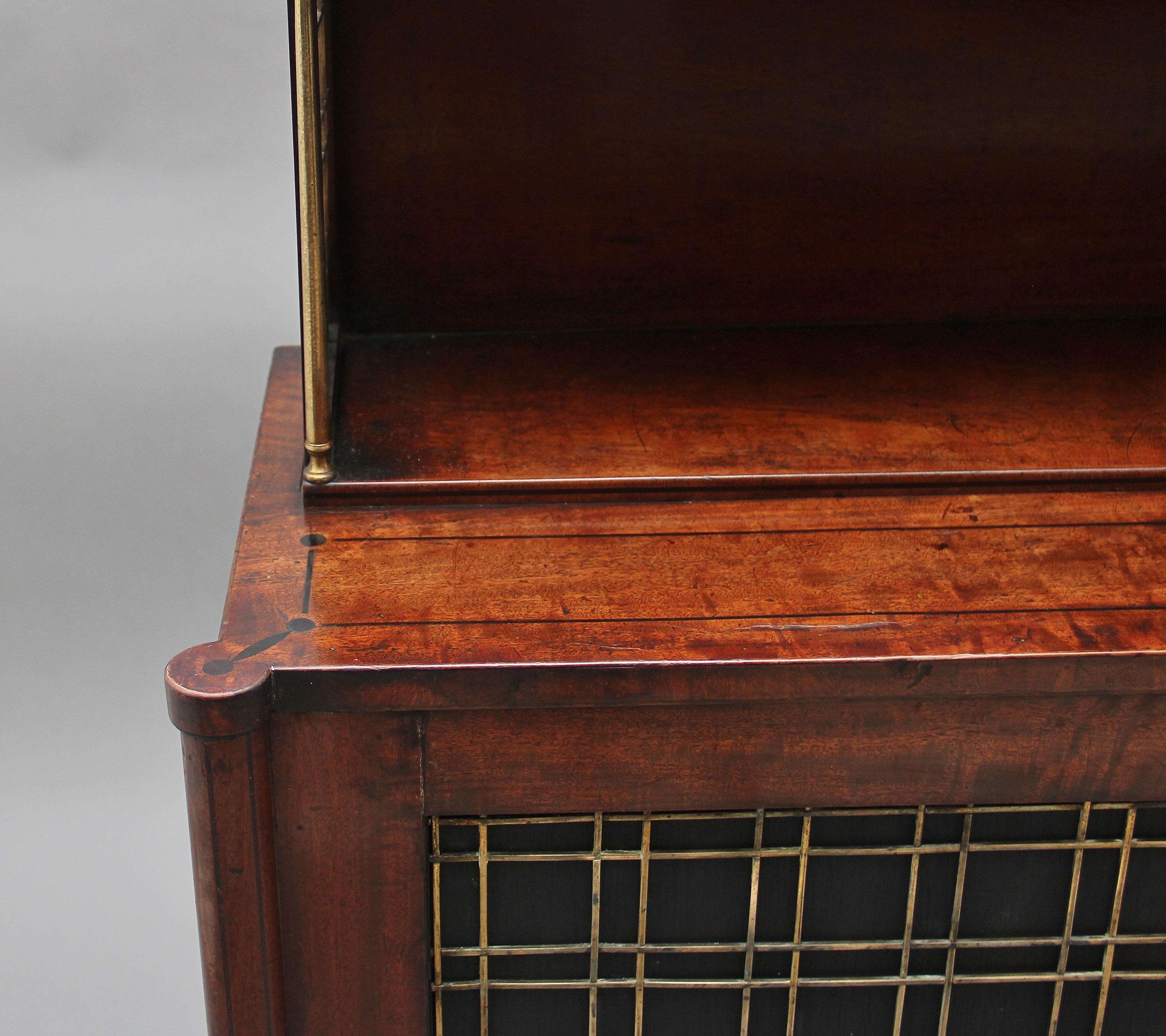 Early 19th Century Mahogany Cabinet For Sale 8