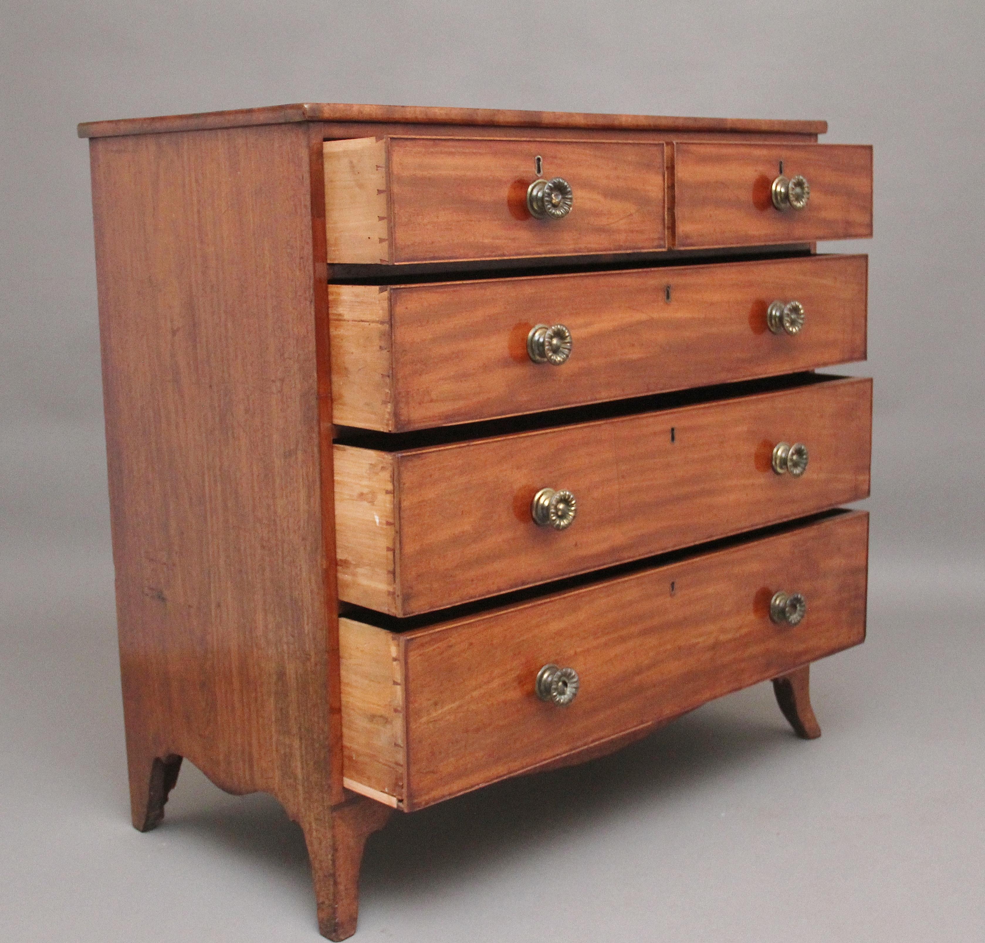 British Early 19th Century Mahogany Chest of Drawers For Sale