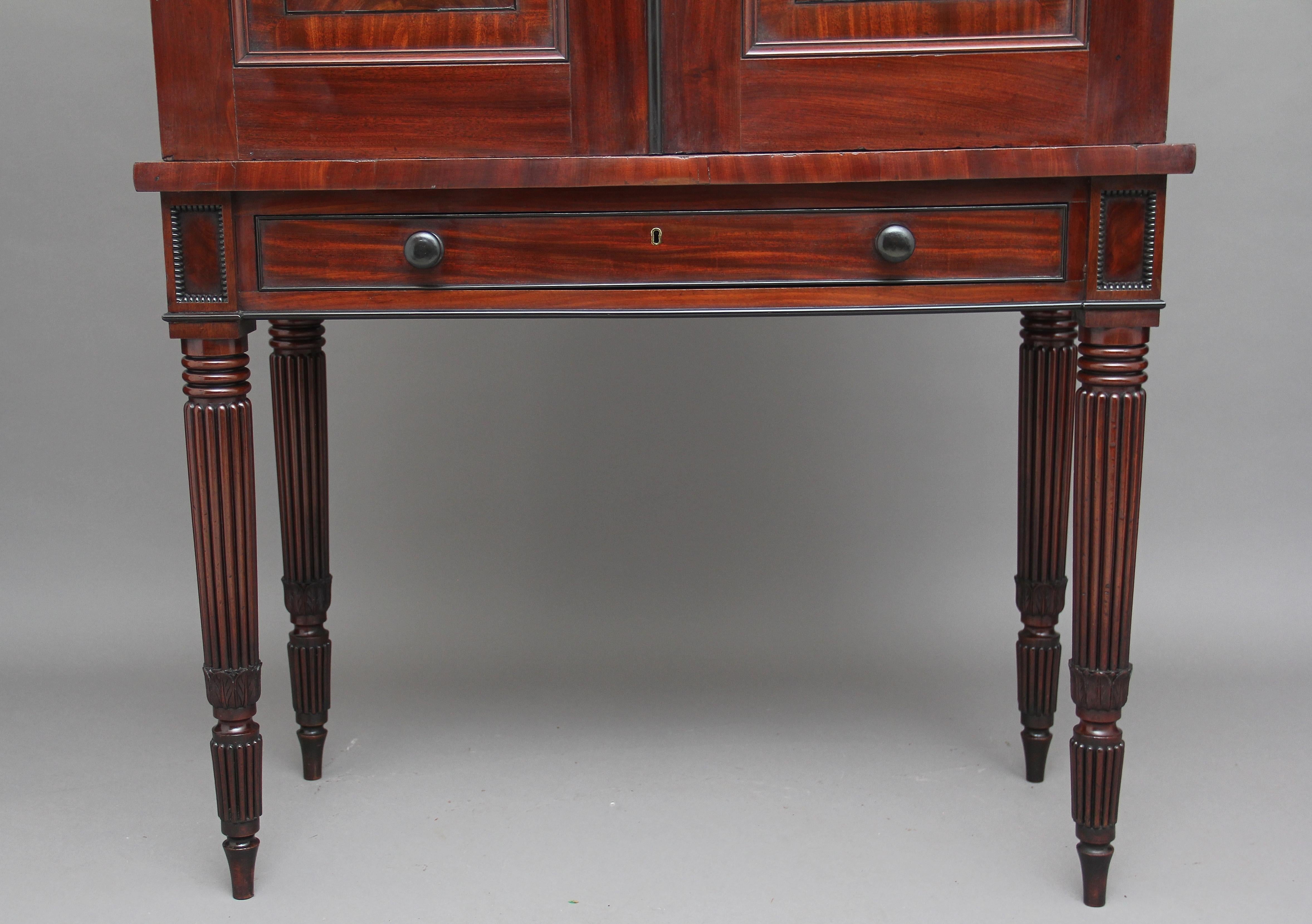 Early 19th Century Mahogany Collectors Cabinet For Sale 3