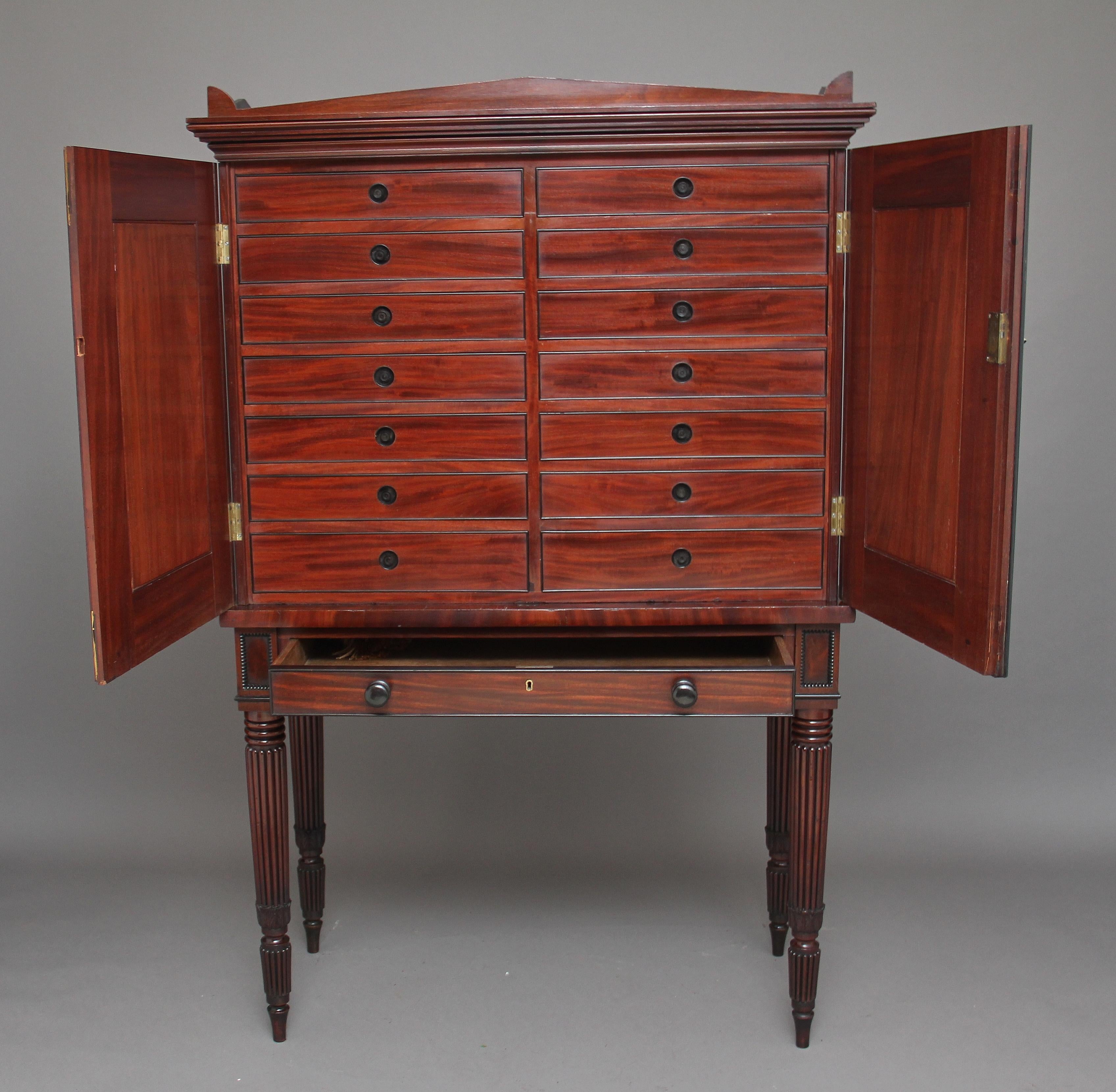 Regency Early 19th Century Mahogany Collectors Cabinet For Sale