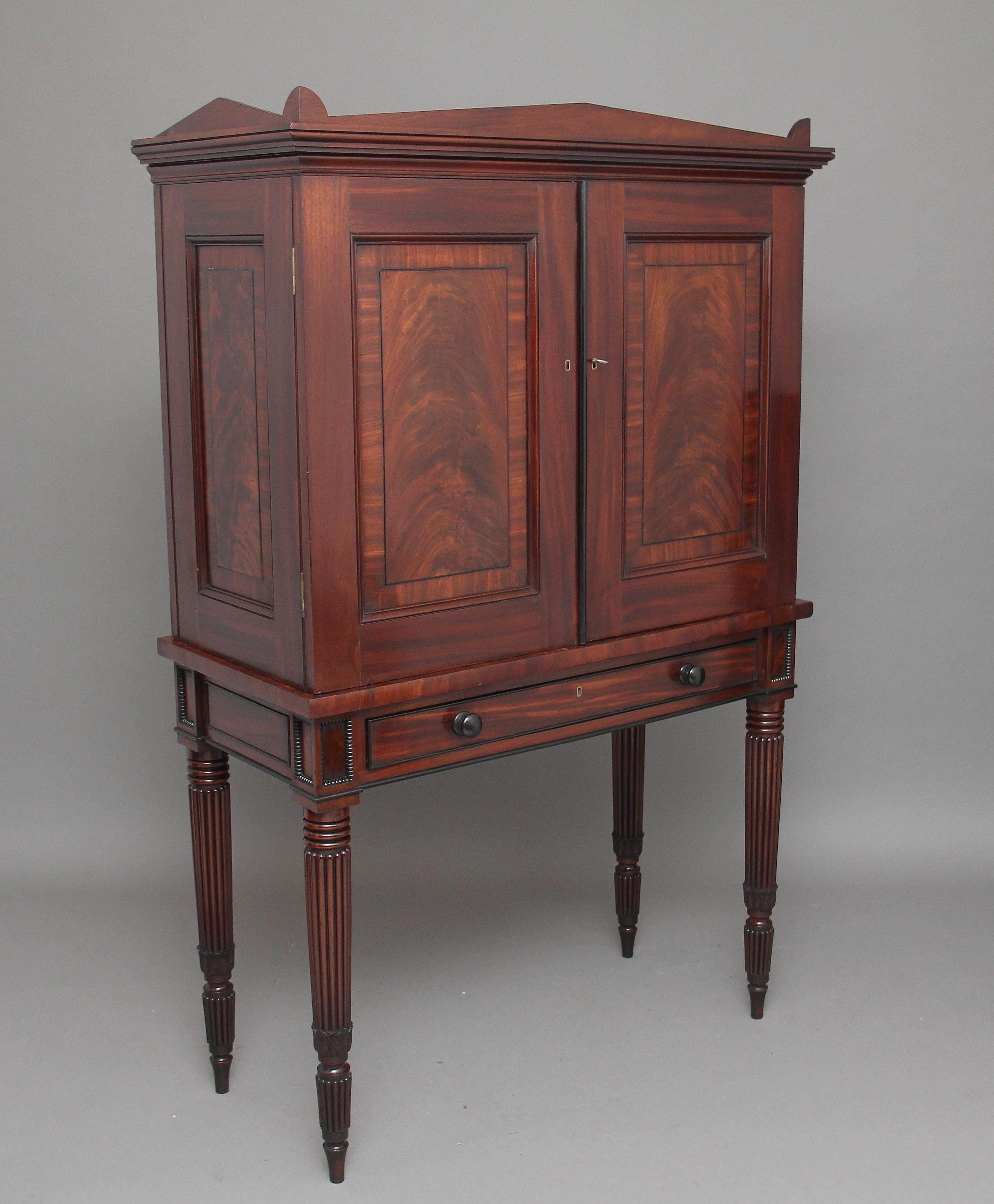 Early 19th Century Mahogany Collectors Cabinet In Good Condition For Sale In Martlesham, GB