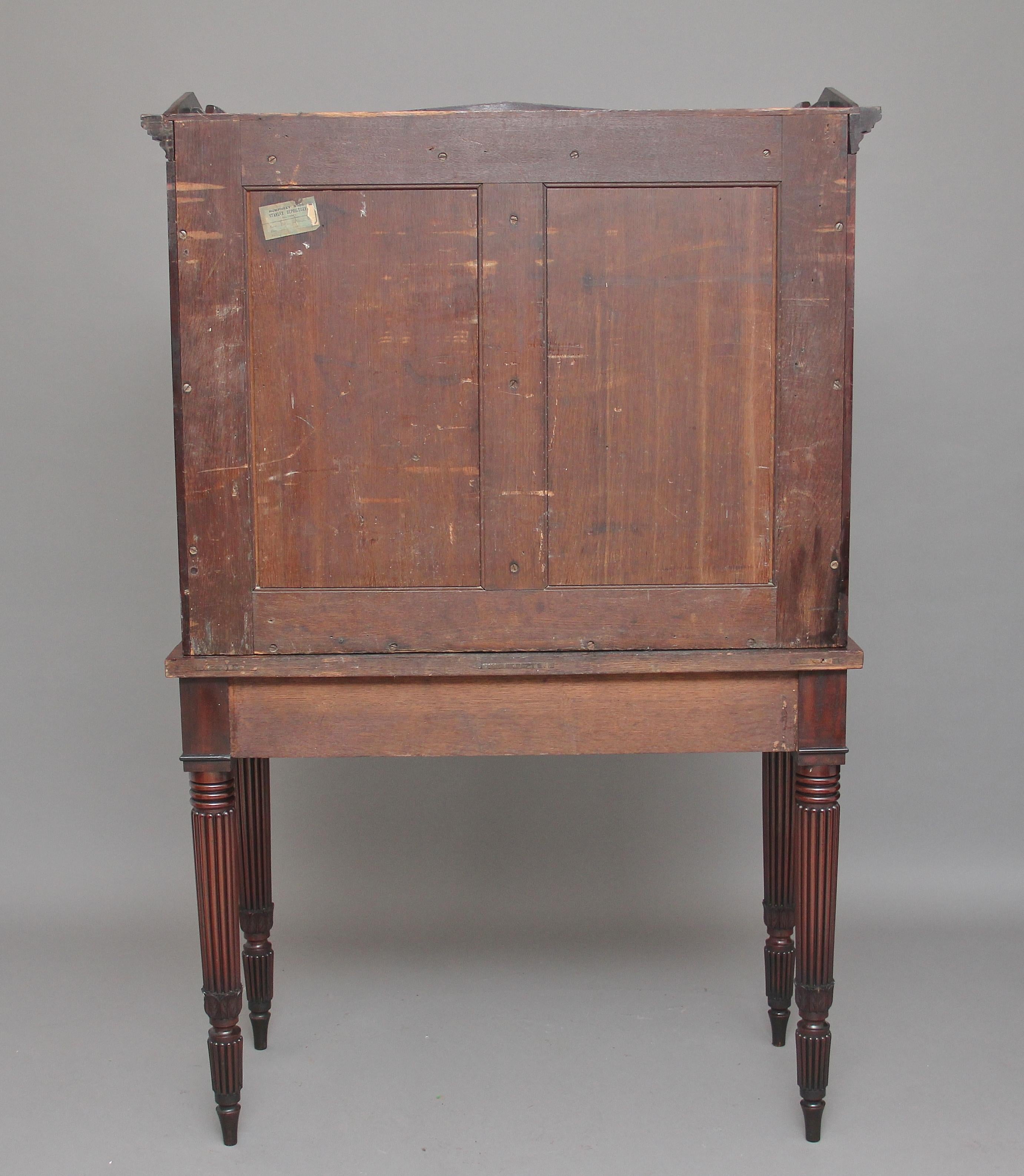 Early 19th Century Mahogany Collectors Cabinet For Sale 1