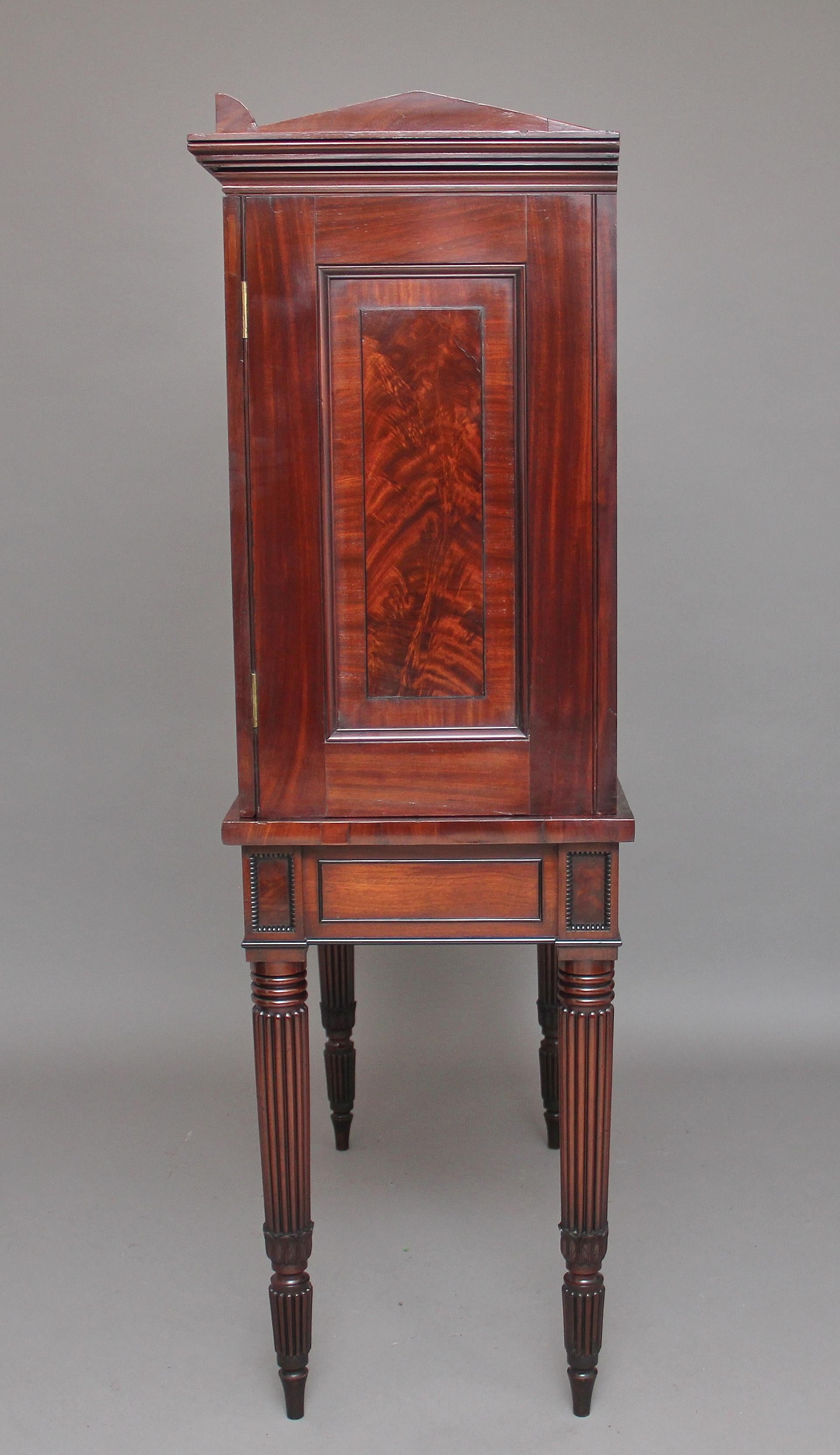 Early 19th Century Mahogany Collectors Cabinet For Sale 2
