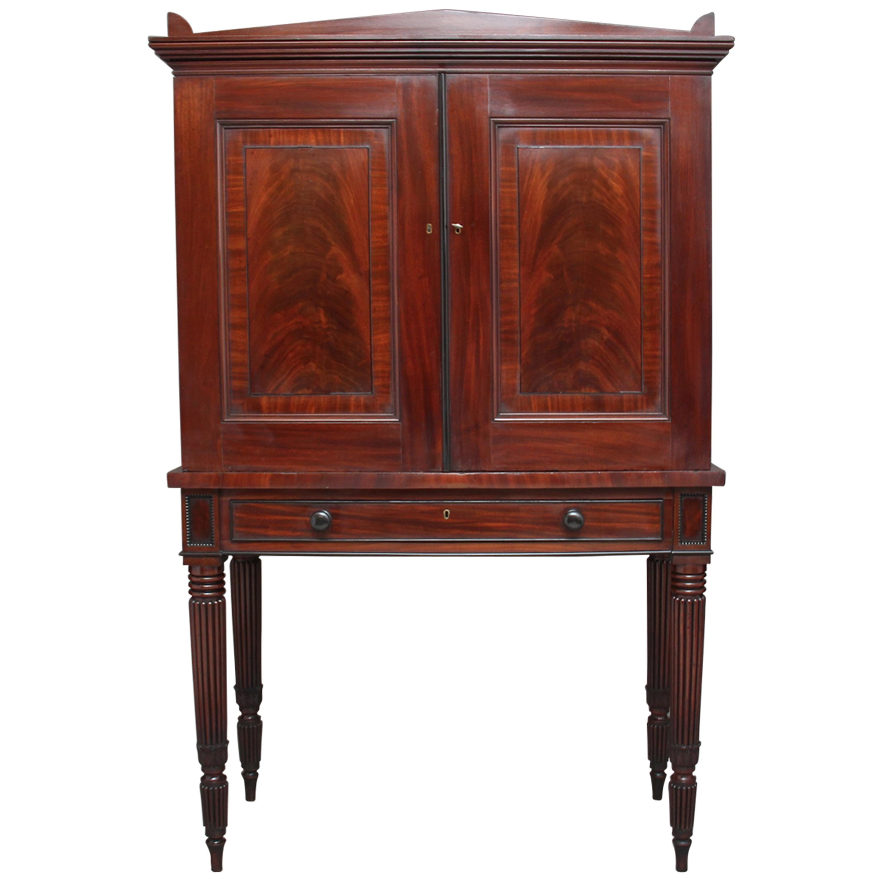 Early 19th Century Mahogany Collectors Cabinet For Sale