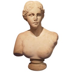 Early 19th Century Marble Bust