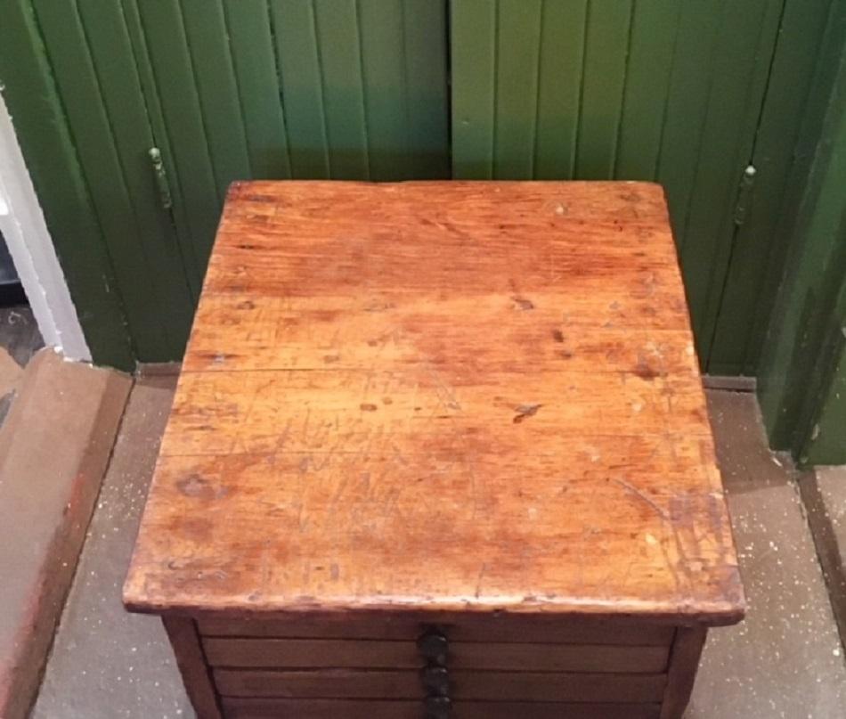 Hand-Crafted Early 19th Century Naturalist or Collectors Specimen Cabinet