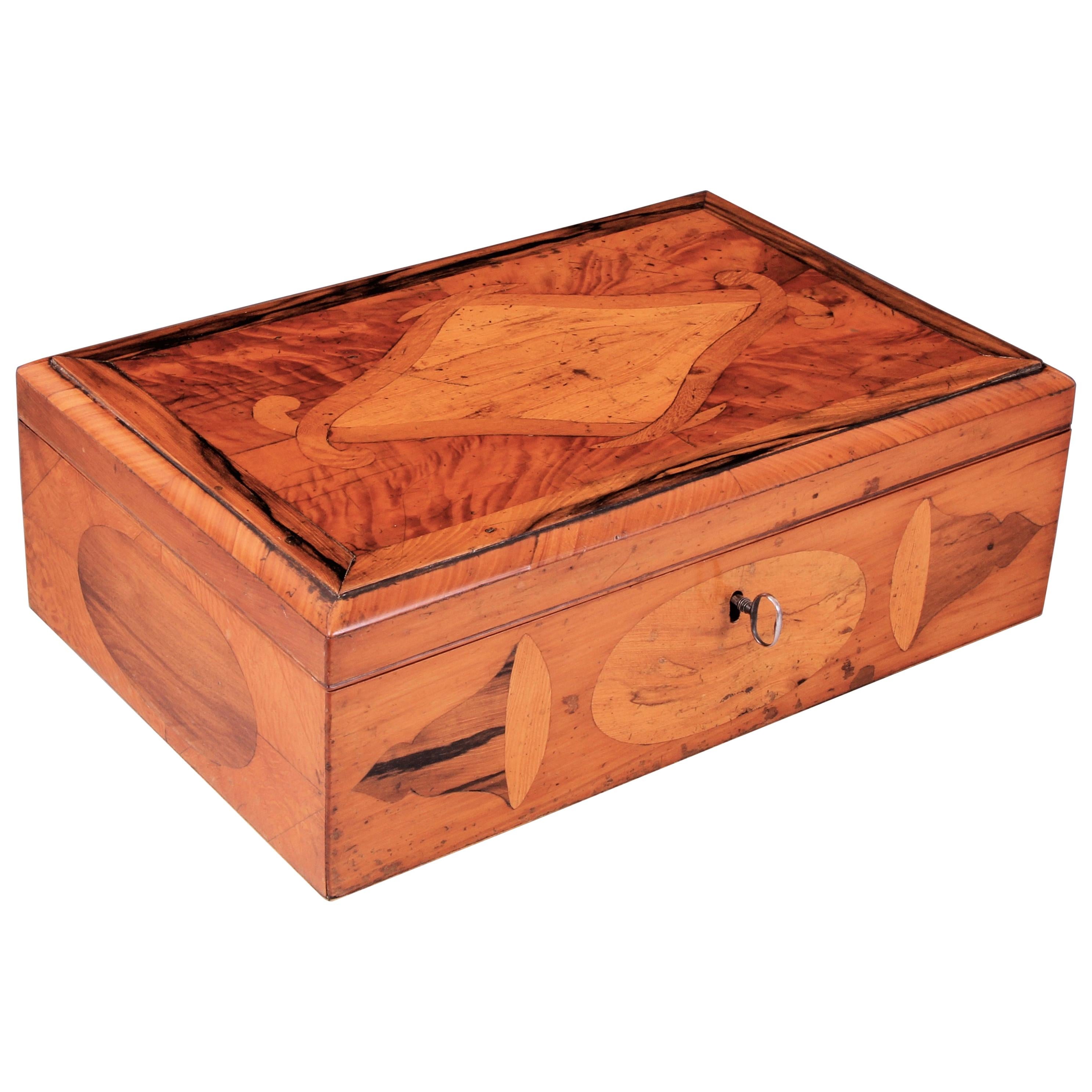 Early 19th Century New Zealand Specimen Wood Box