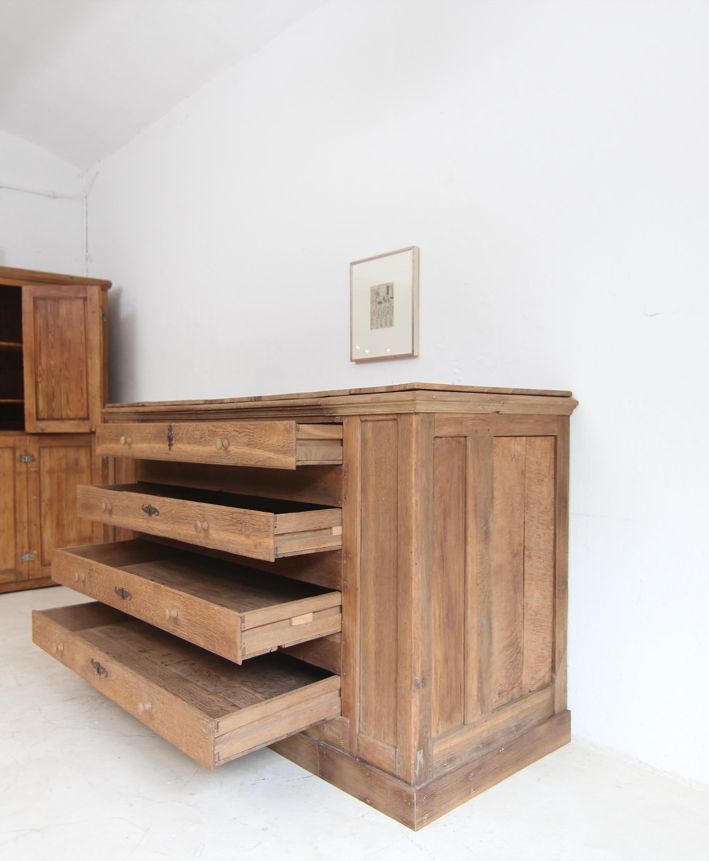 Sakristei-Schubladenschrank aus Eiche aus dem frühen 19. im Angebot 6
