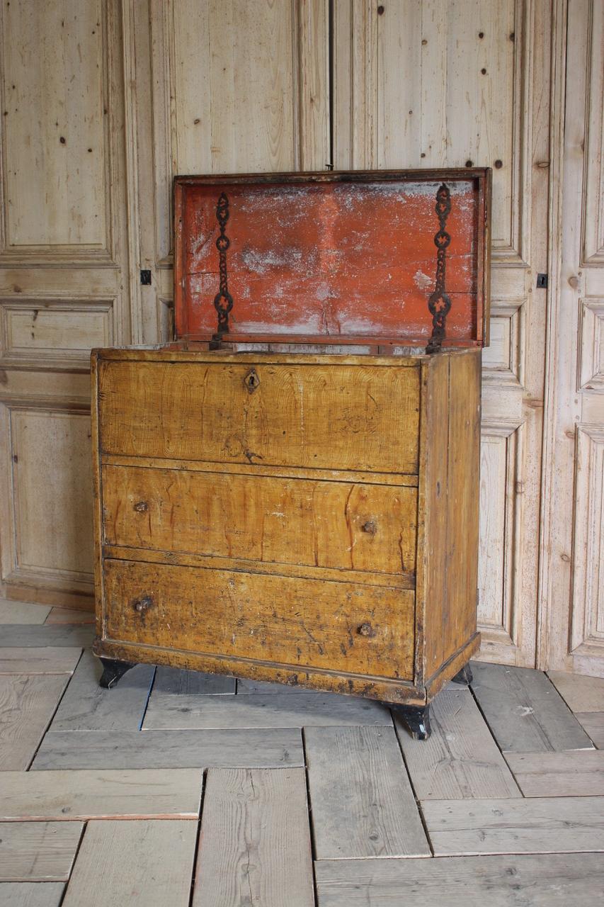 Early 19th Century Painted Swedish Commode or Trunk In Good Condition In Gloucestershire, GB