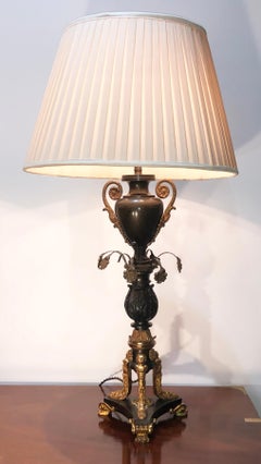 Early 19th Century Pair of Bronze Argand Oil Lamps Later Fitted for Electricity