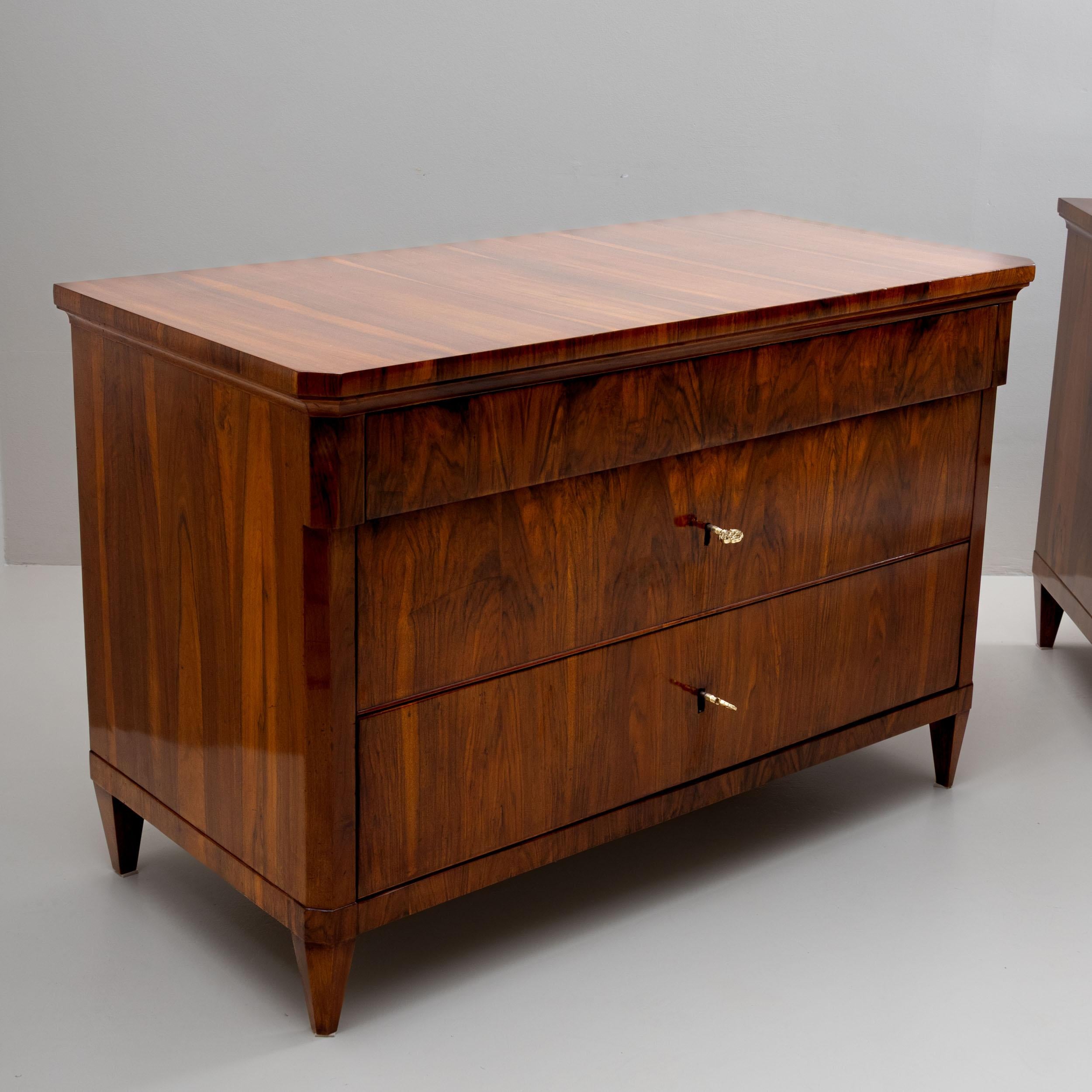 Italian Early 19th Century Pair of Large Biedermeier Chests of Drawers, Italy For Sale