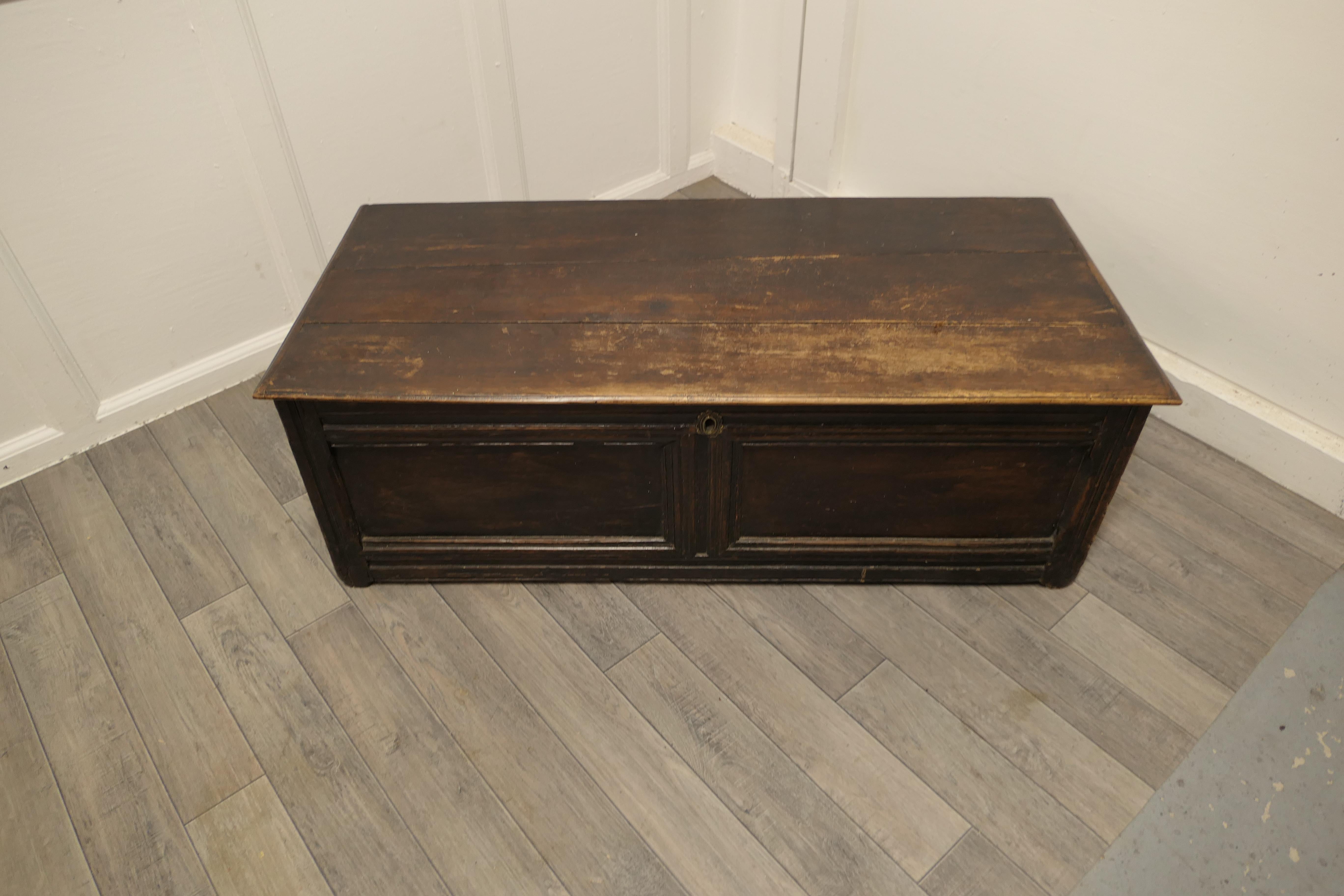 Early 19th Century Panelled Oak Coffer     In Good Condition For Sale In Chillerton, Isle of Wight