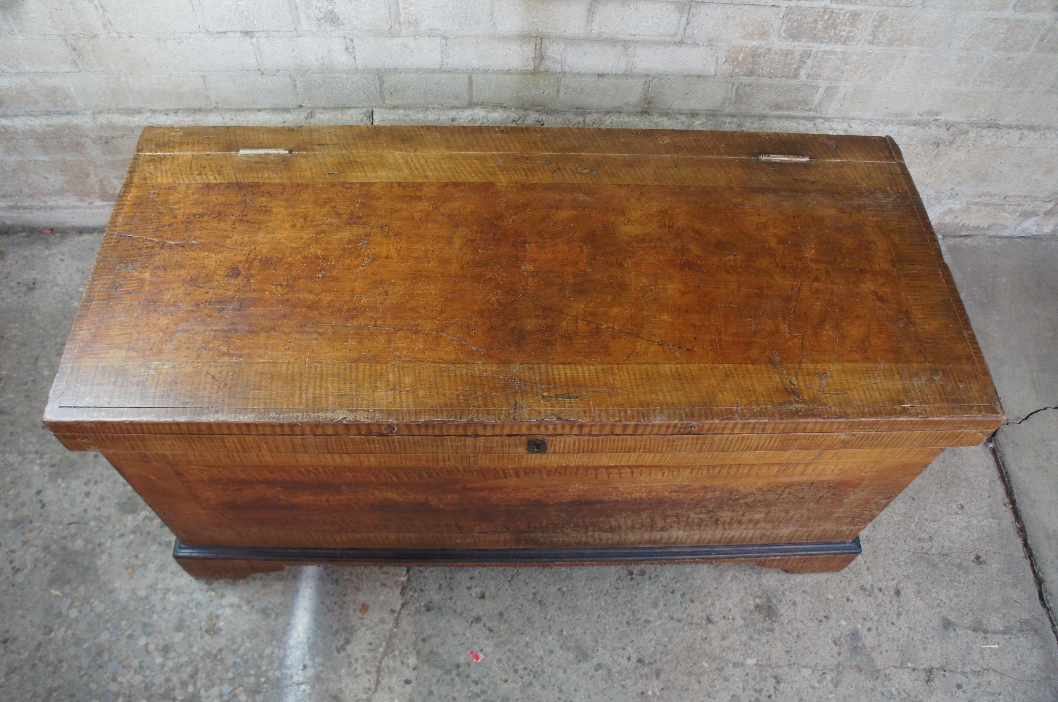 Early 19th Century Pennsylvania Pine Painted Grain Trunk or Blanket Chest 2