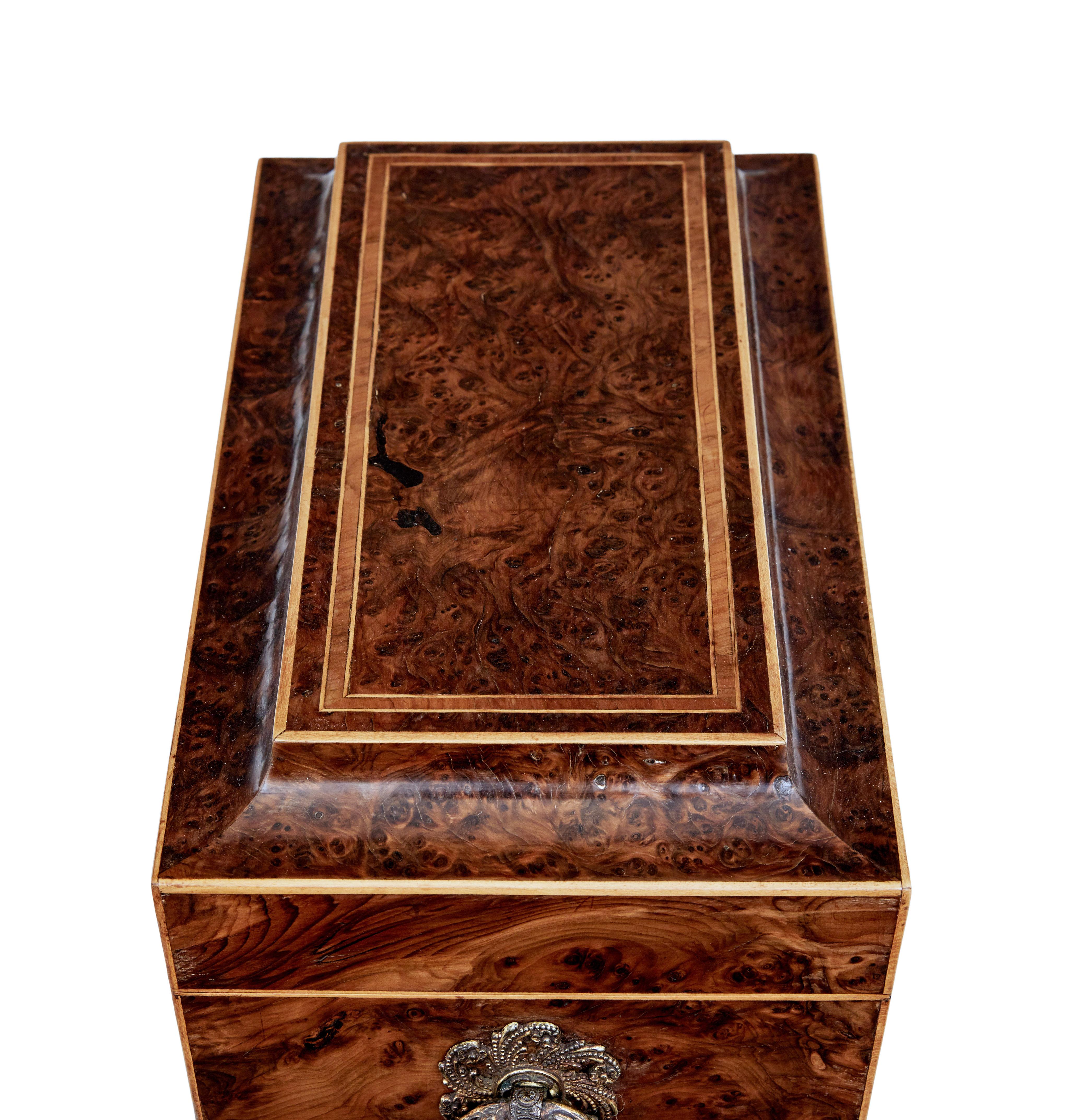 Early 19th Century Regency Burr Yew Tea Caddy 1