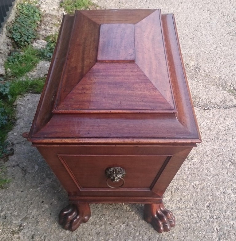 Early 19th Century Regency Mahogany Antique Wine Cooler For Sale at 1stDibs