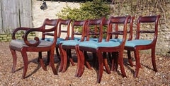 Early 19th Century Regency Mahogany Set of Nine Antique Dining Chairs